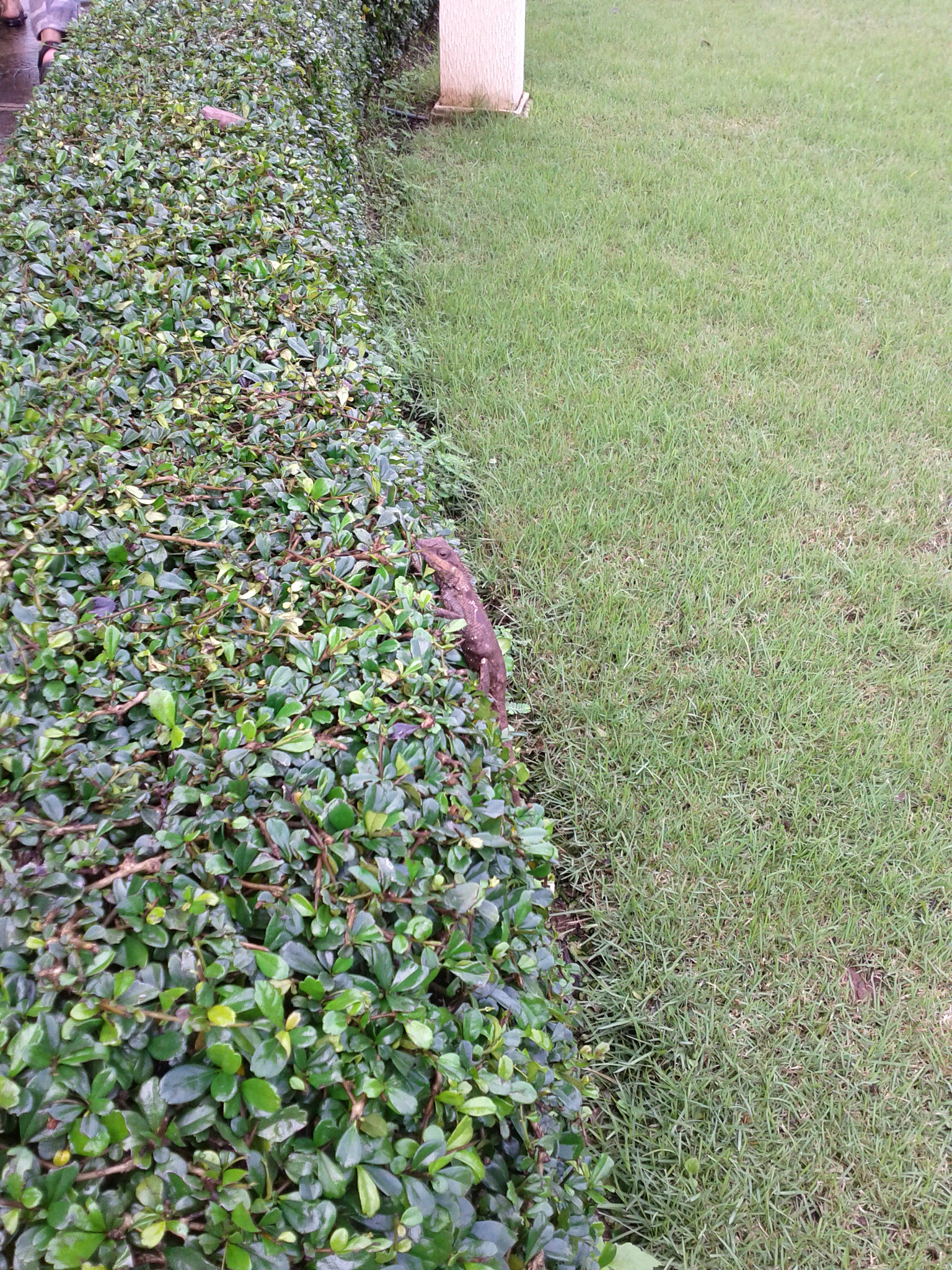 Google Nexus S sample photo. 2011-09-10 09.06.31.jpg photography