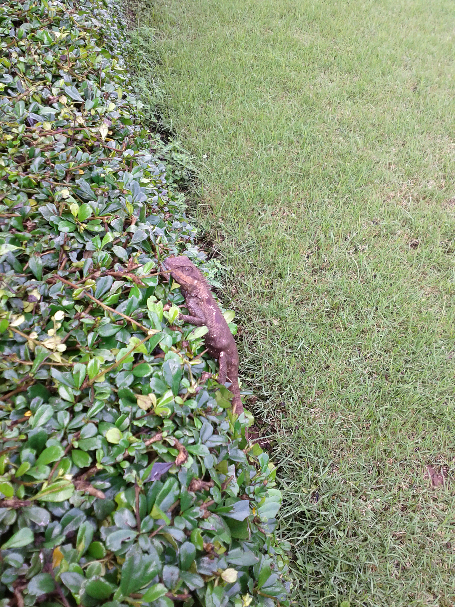 Google Nexus S sample photo. 2011-09-10 09.06.44.jpg photography