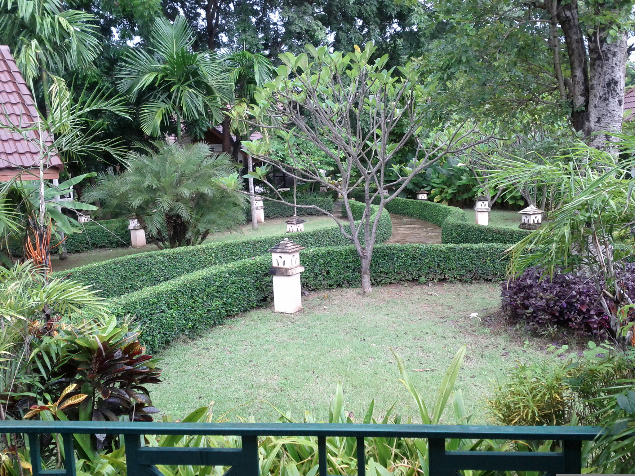 Google Nexus S sample photo. 2011-09-11 11.06.05.jpg photography