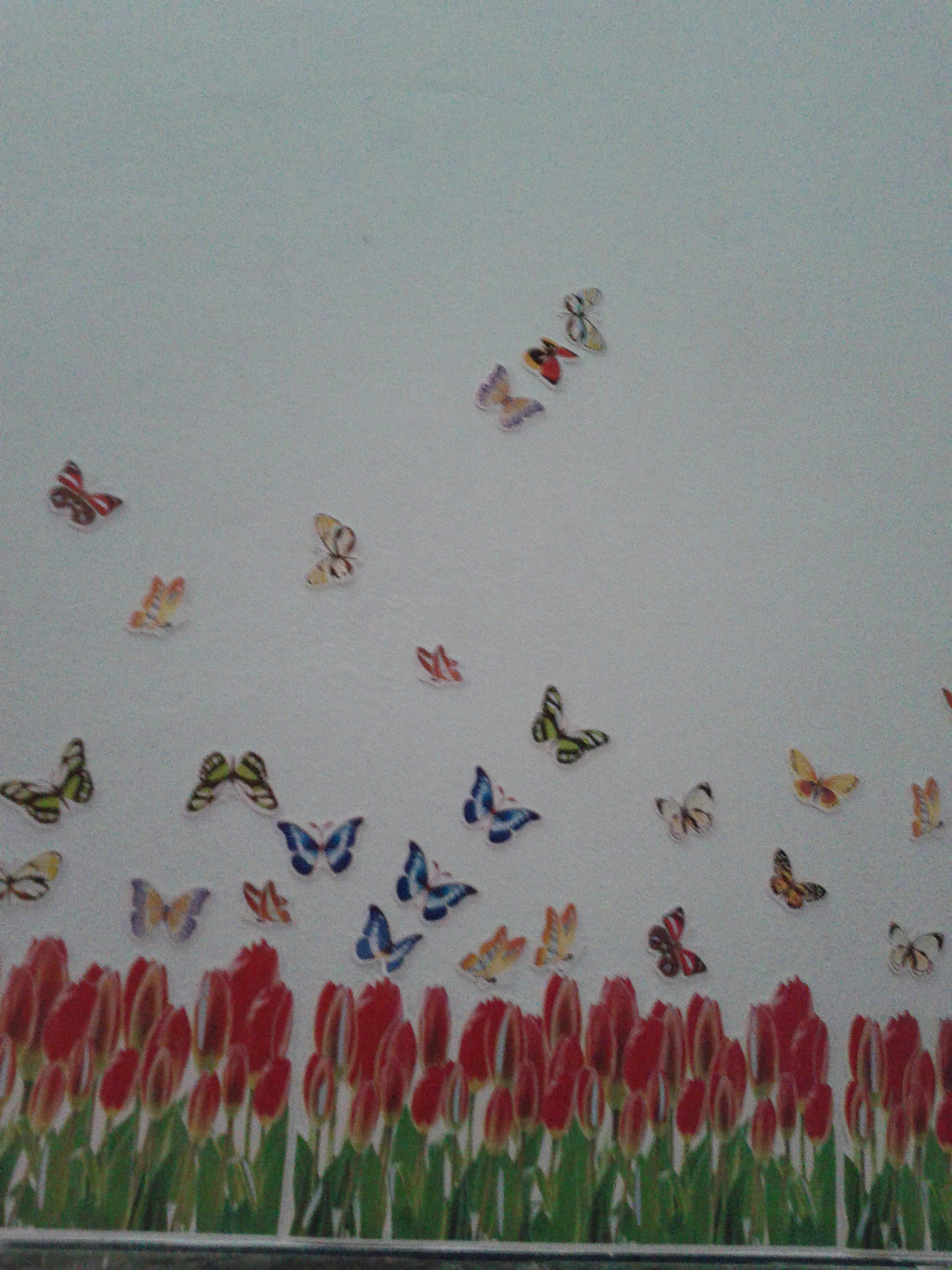 Google Nexus S sample photo. 2011-09-13 12.49.23.jpg photography