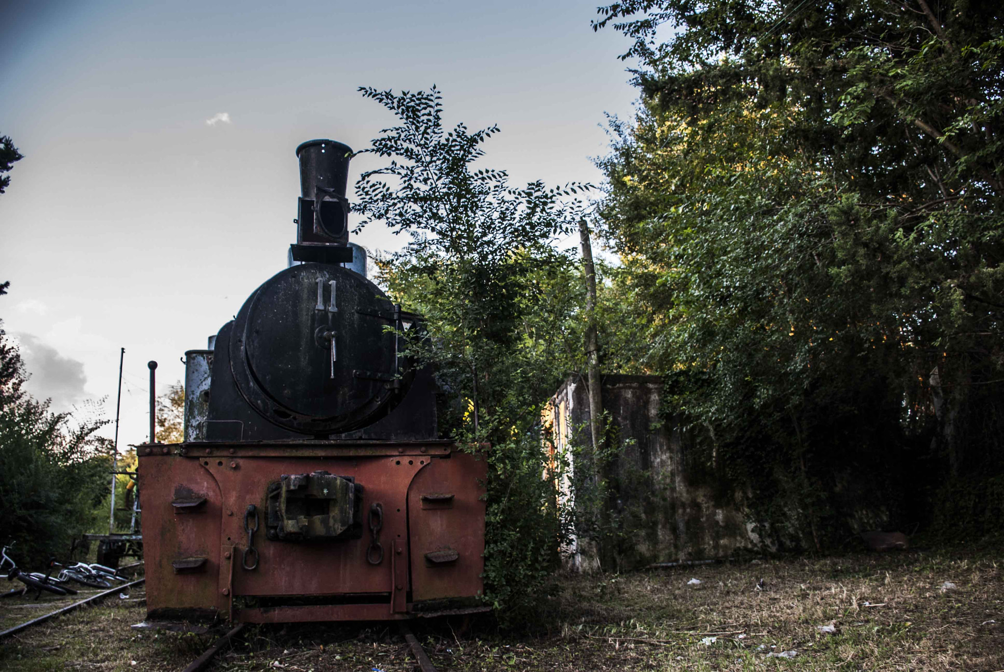 Nikon D40X sample photo. Trenes argentinos photography