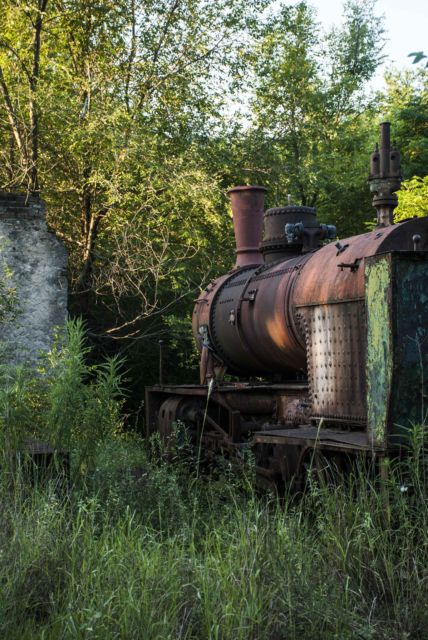 Nikon D40X sample photo. Trenes argentinos photography