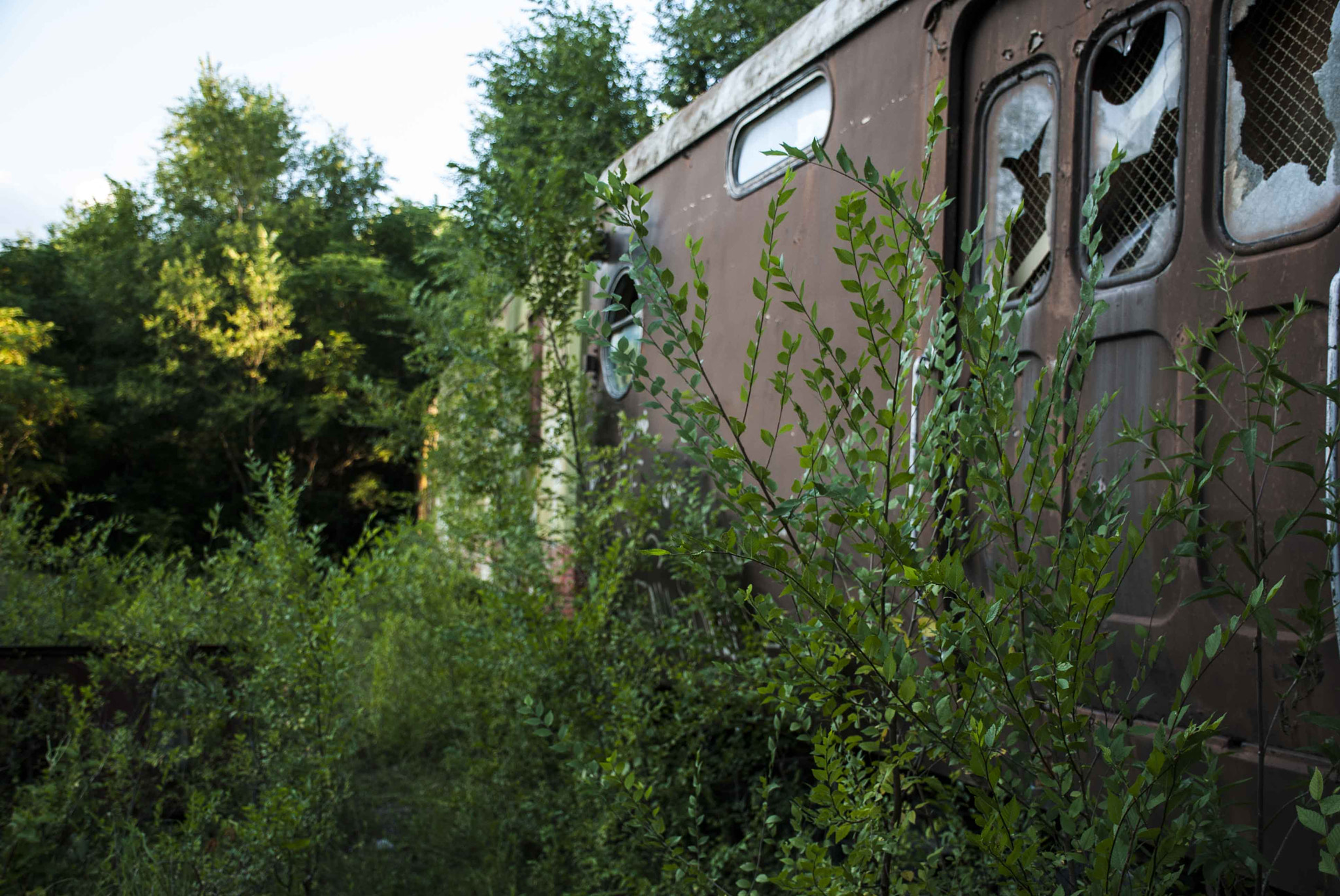Nikon D40X sample photo. Trenes argentinos photography