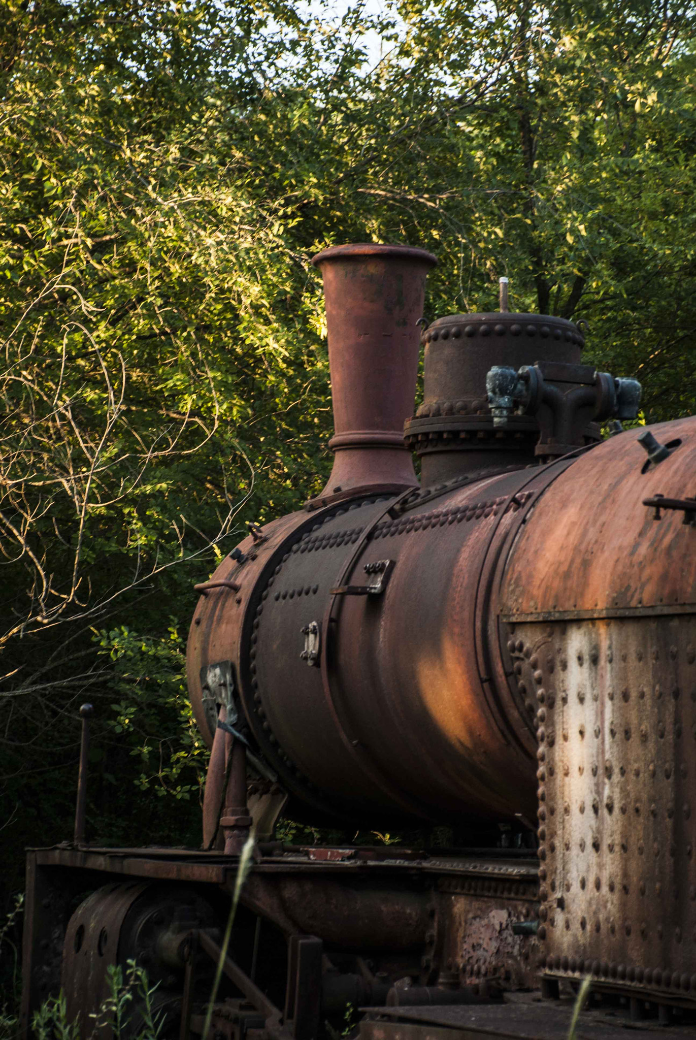 Nikon D40X sample photo. Trenes argentinos photography