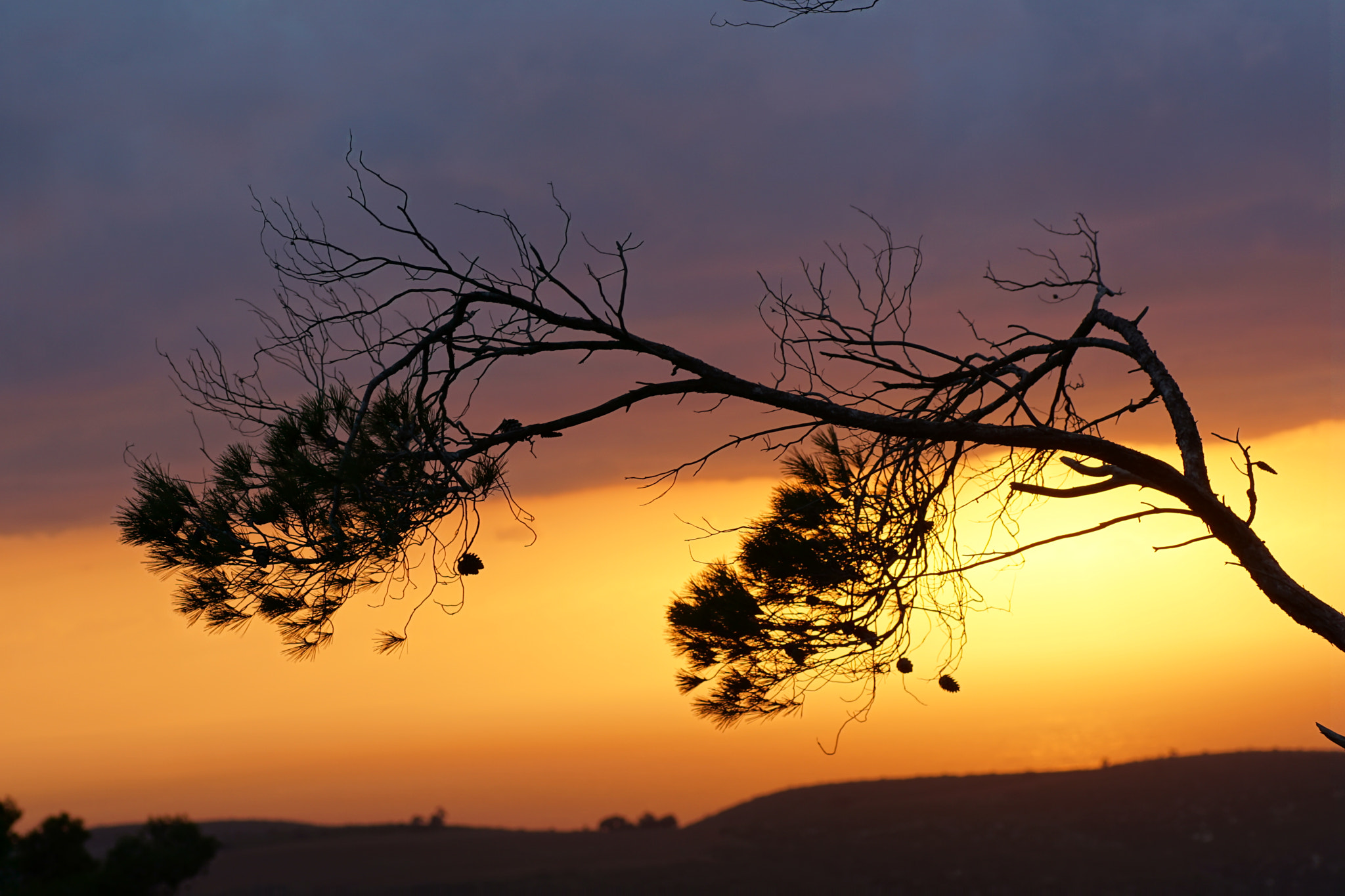 Sony a6000 + Tamron SP AF 90mm F2.8 Di Macro sample photo. Sunset at mount carmel photography