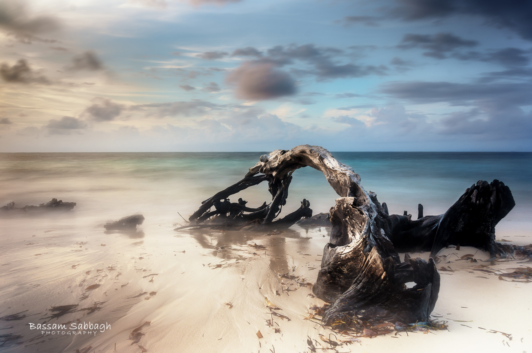 Sony E 18-200mm F3.5-6.3 OSS LE sample photo. Driftwood morning photography
