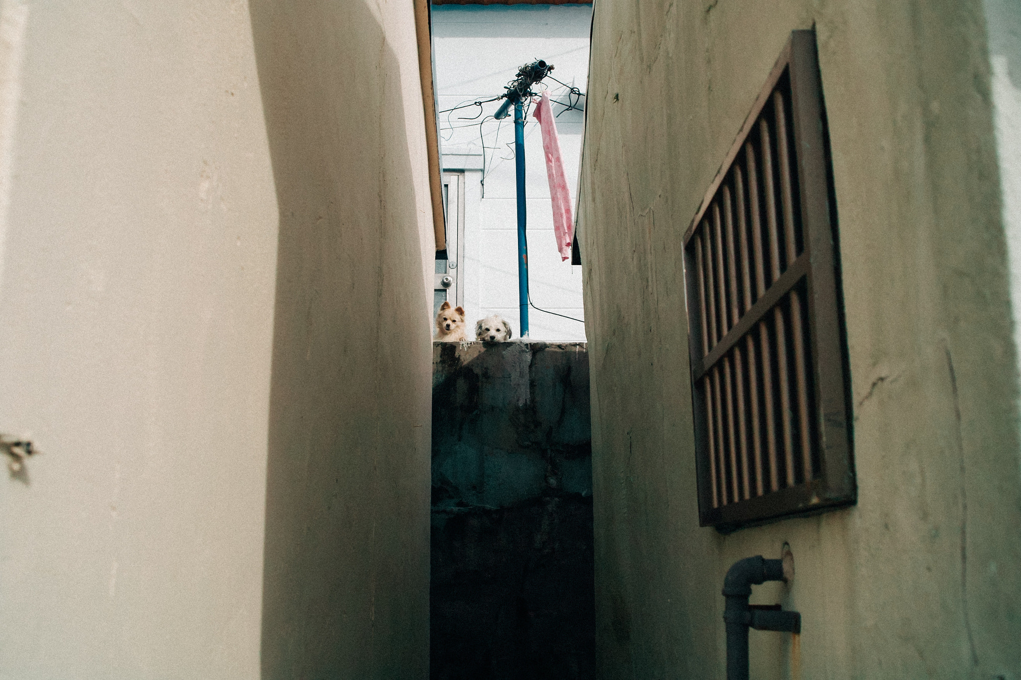 Sigma DP2s sample photo. Alleyway photography