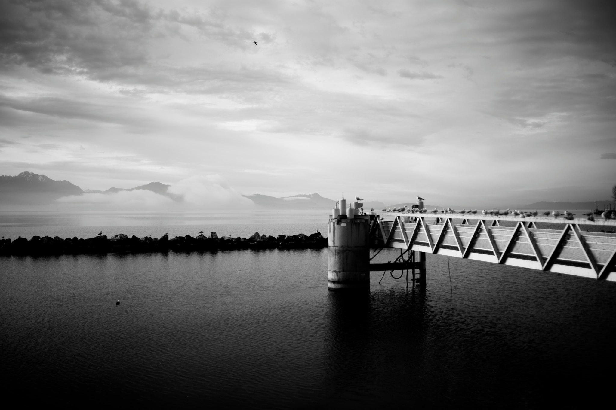 Sony a99 II + Sony 35mm F1.4 G sample photo. View on lake geneva, alps and evian from lausanne (2016-02-02, #10) photography