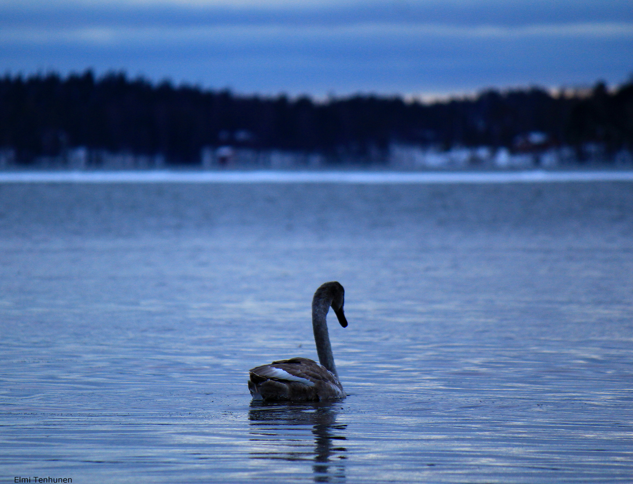 Canon EF-S 55-250mm F4-5.6 IS sample photo. Lost soul photography