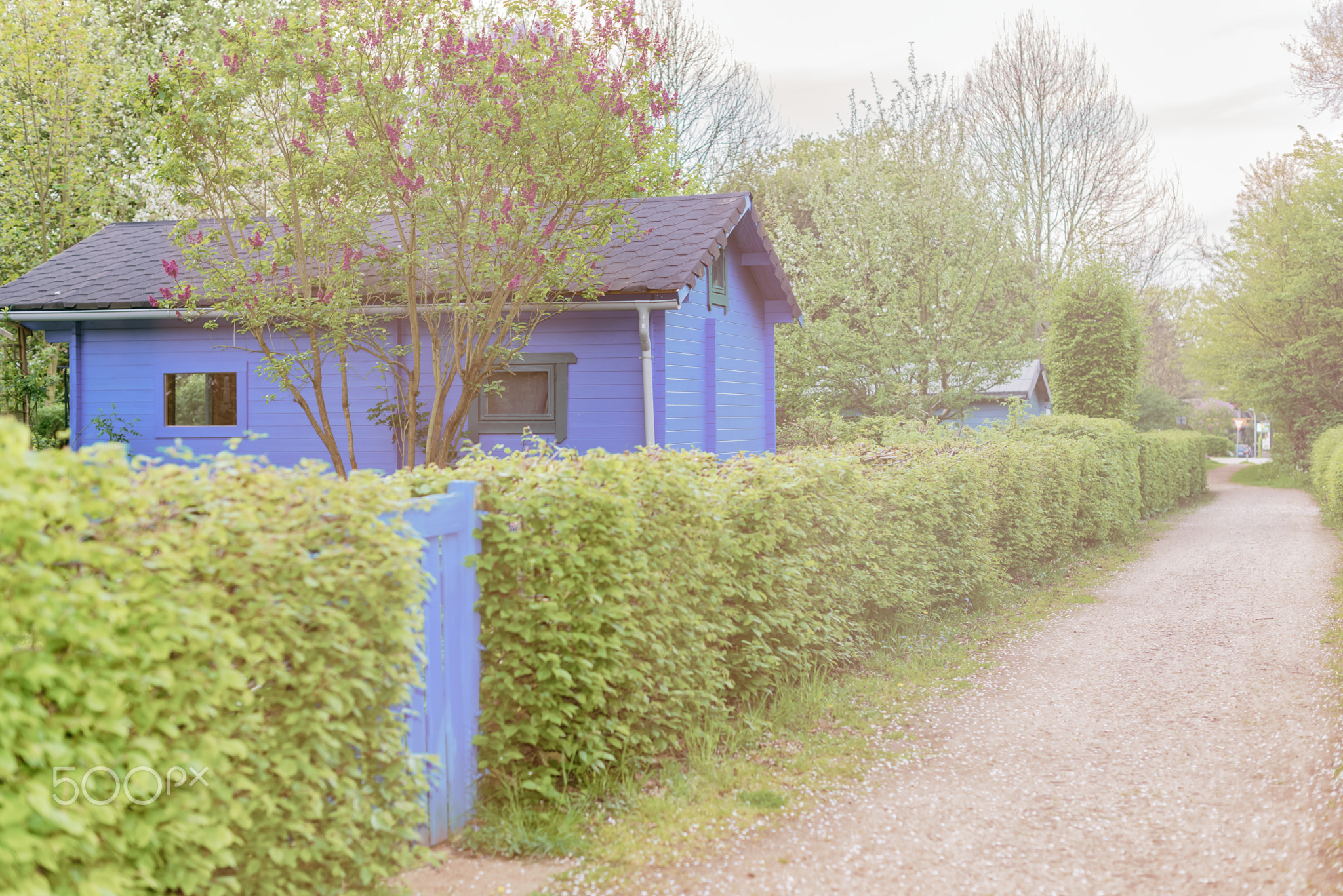 Allotment gardening community in urban landscape