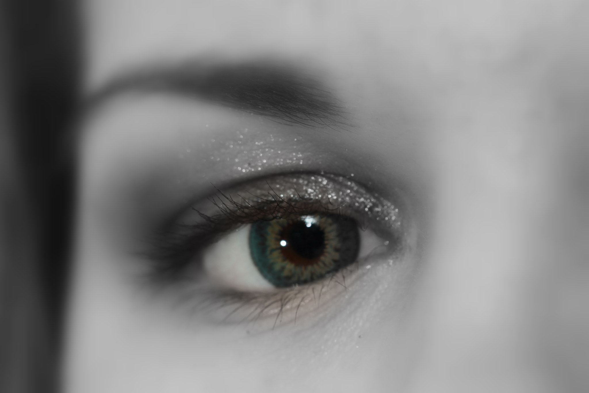 Sigma APO Macro 180mm F2.8 EX DG OS HSM sample photo. Give me your eye.... photography