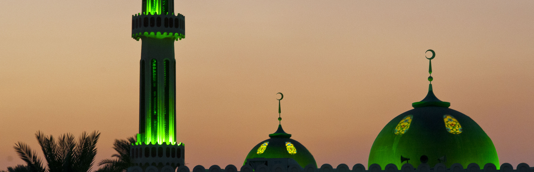 Nikon D300 + Sigma 18-200mm F3.5-6.3 DC sample photo. Abu dhabi mosque photography