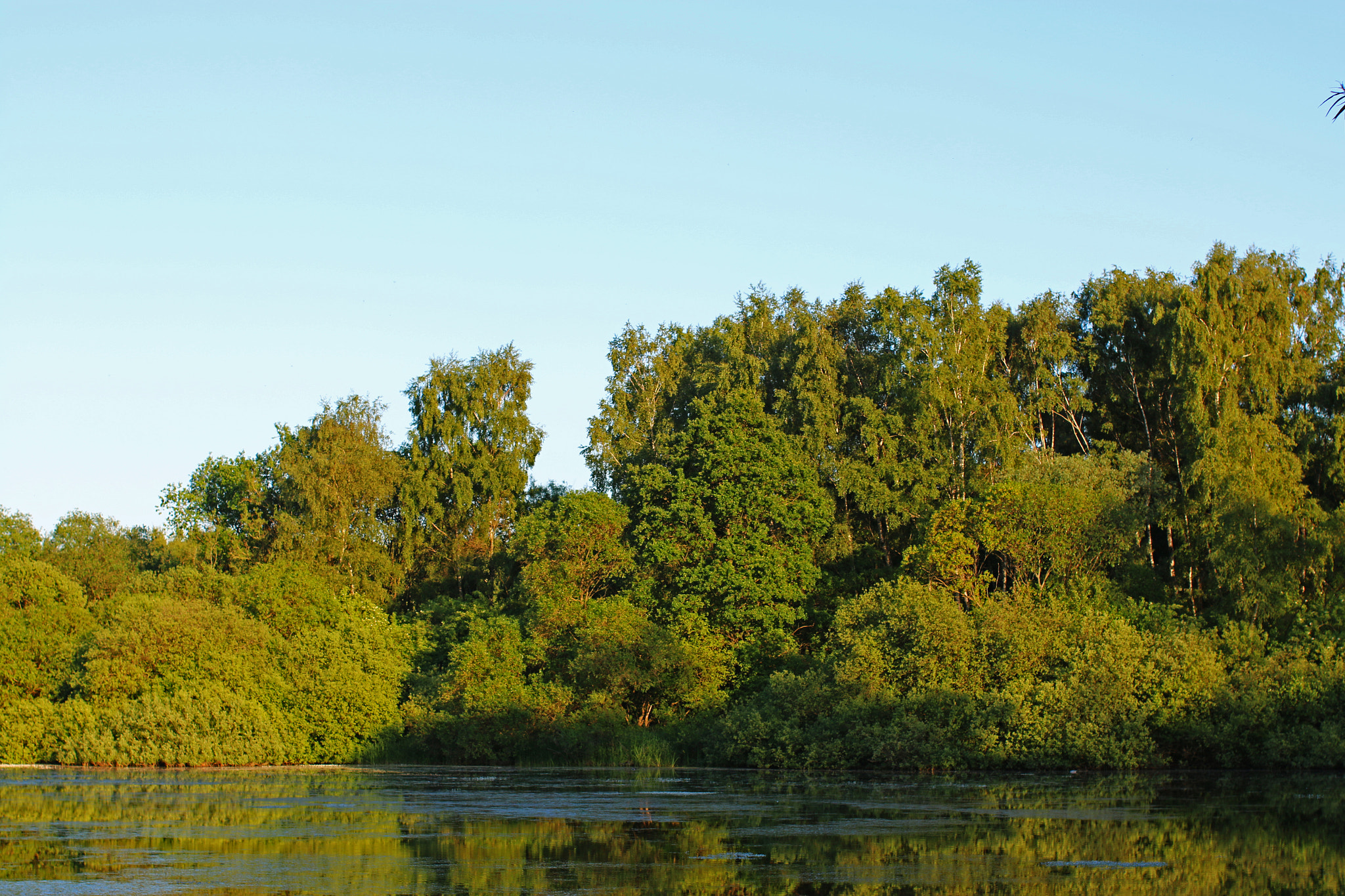 Canon EOS 70D + Canon EF 50mm F1.2L USM sample photo. Green lake photography