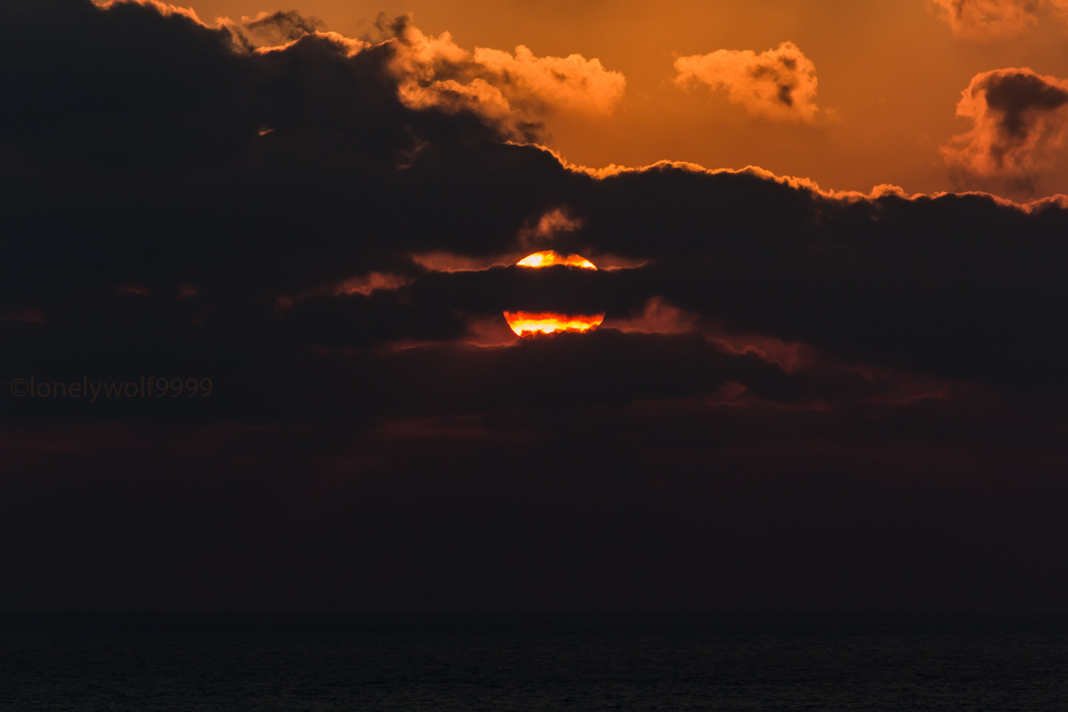 Canon EOS 550D (EOS Rebel T2i / EOS Kiss X4) sample photo. Peekaboo photography