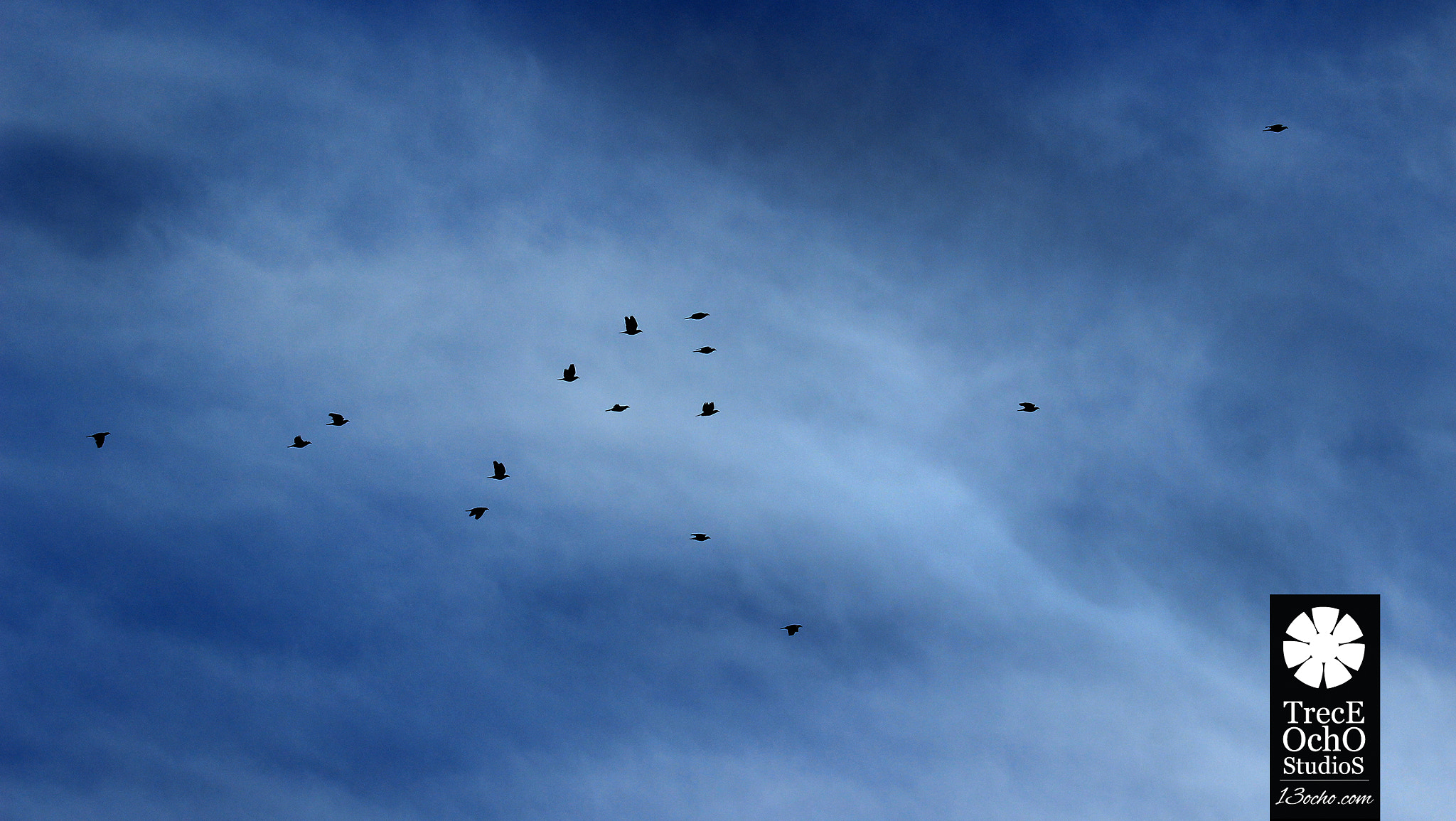 Canon EF 35-350mm F3.5-5.6L USM sample photo. Vuelo photography