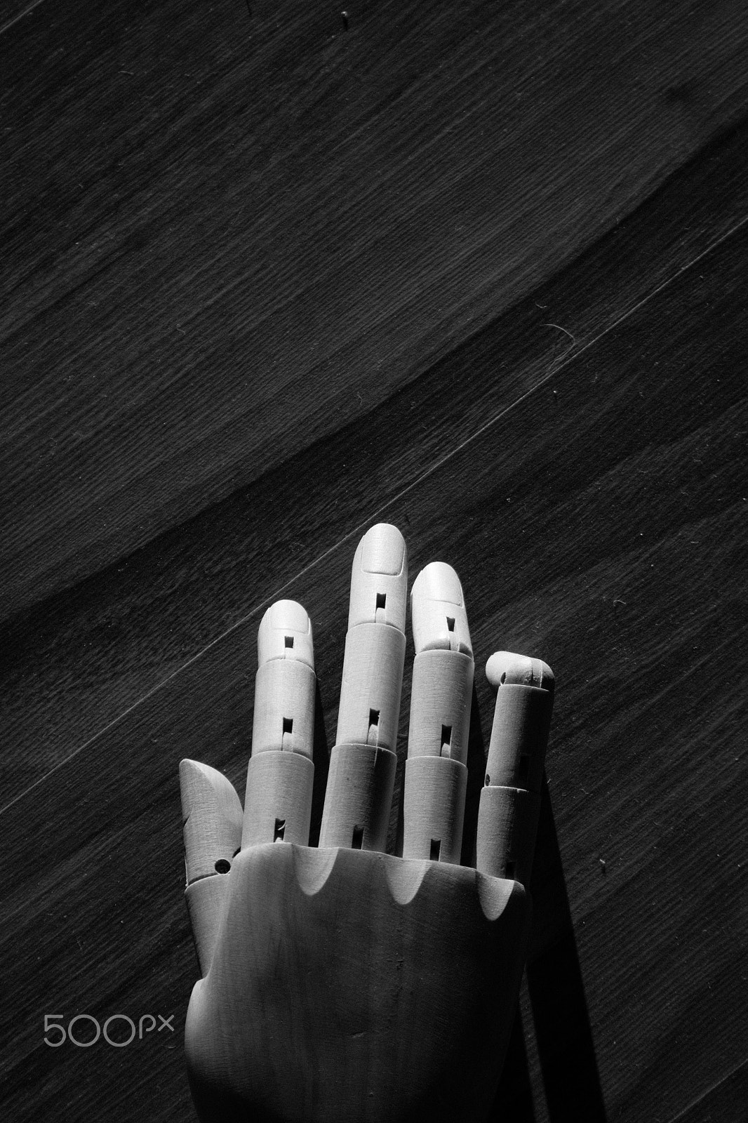 Canon EF 28-135mm F3.5-5.6 IS USM sample photo. The wooden hand photography