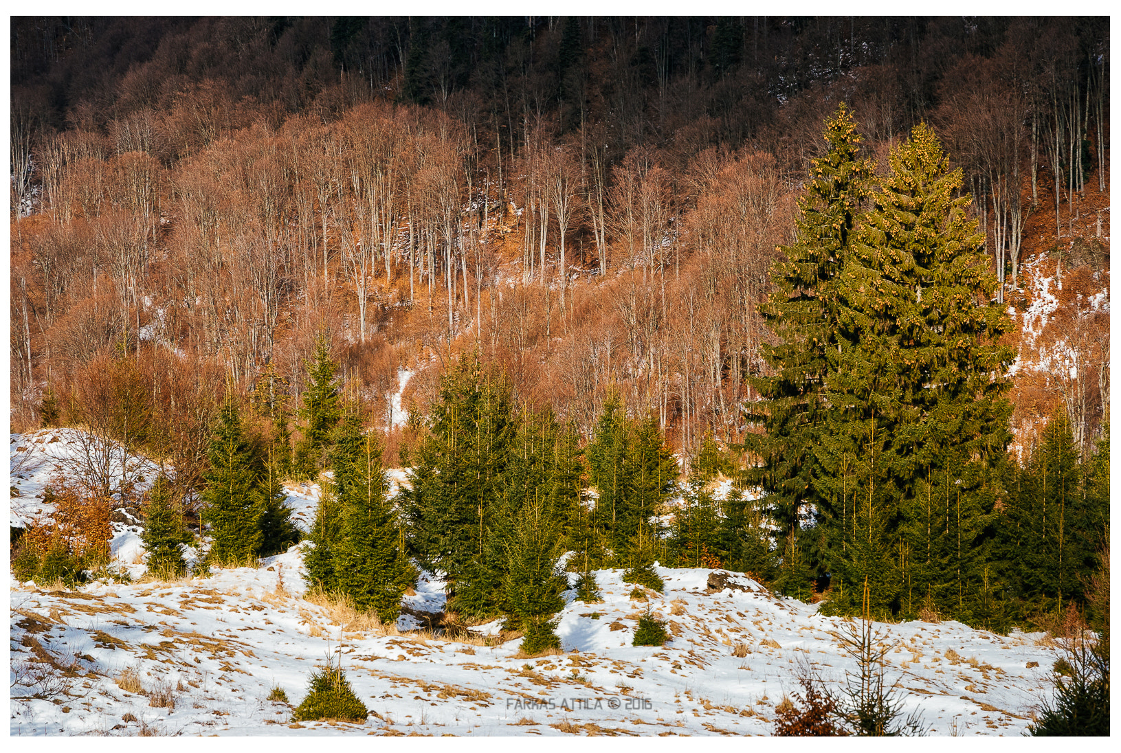 Nikon D60 sample photo. In the mountains... photography