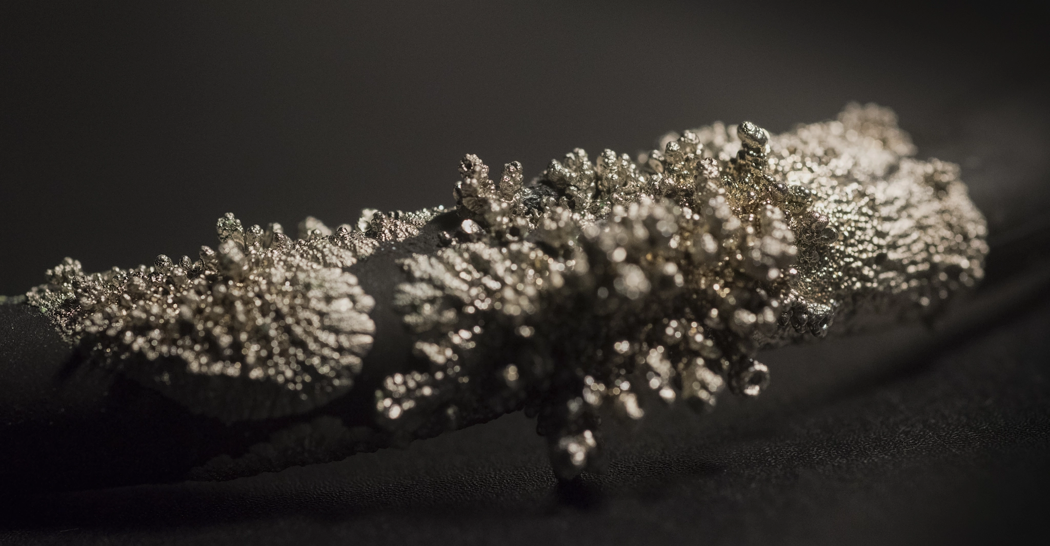 Nikon D810 + Nikon AF Micro-Nikkor 60mm F2.8D sample photo. Nickel art... photography
