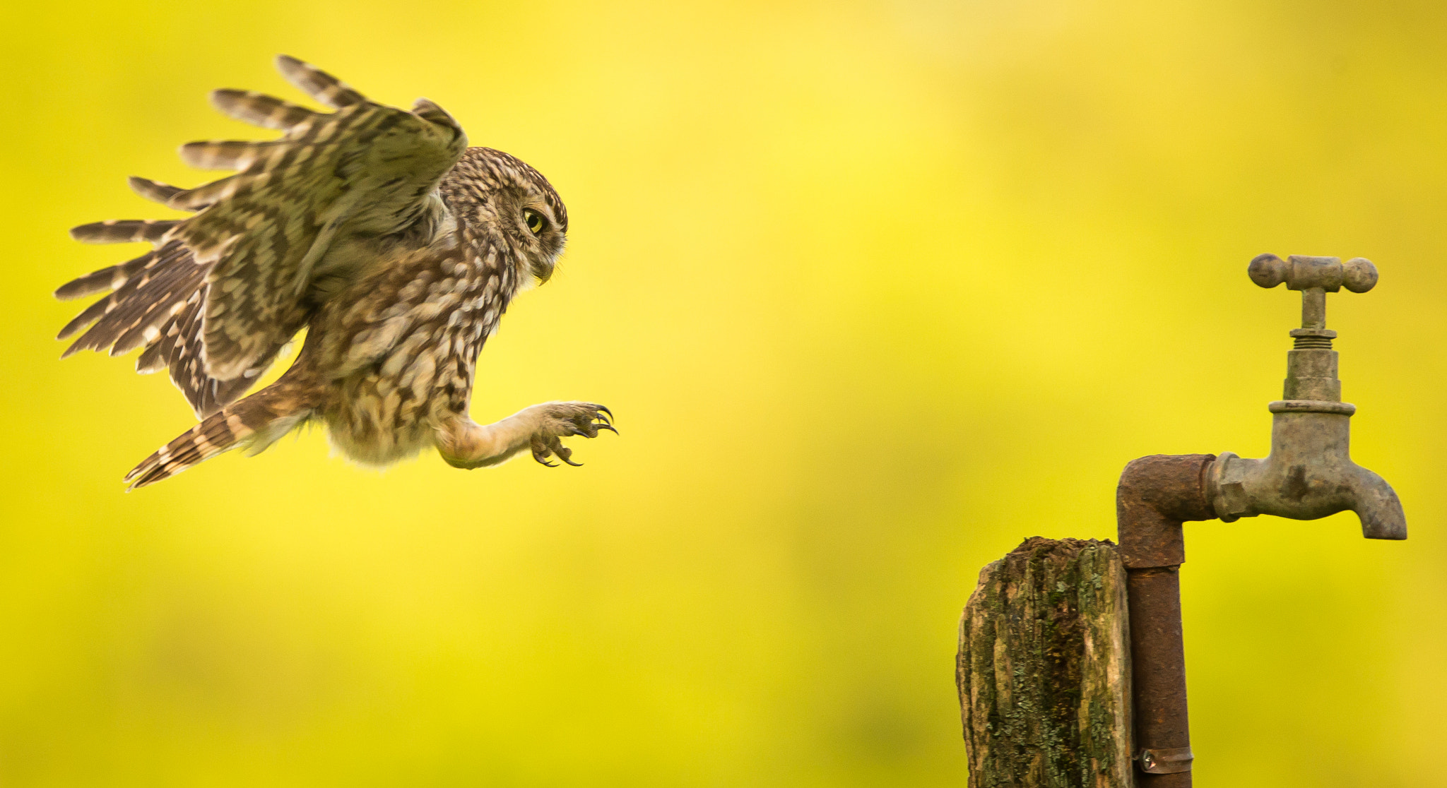 Canon EF 300mm F2.8L IS USM sample photo. Base jumping photography