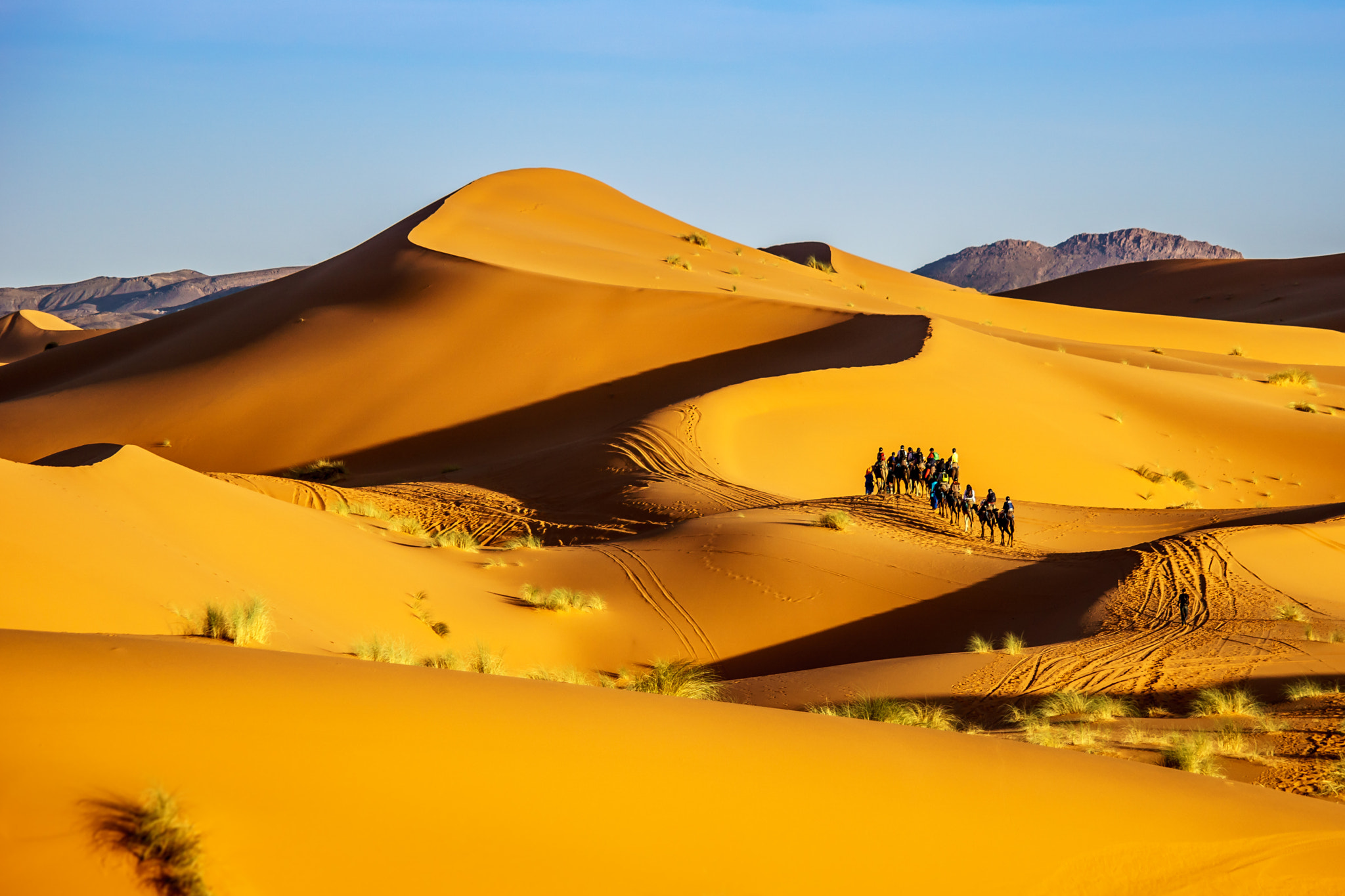 Sony ILCA-77M2 + Tamron 80-300mm F3.5-6.3 sample photo. A caravan in the desert photography
