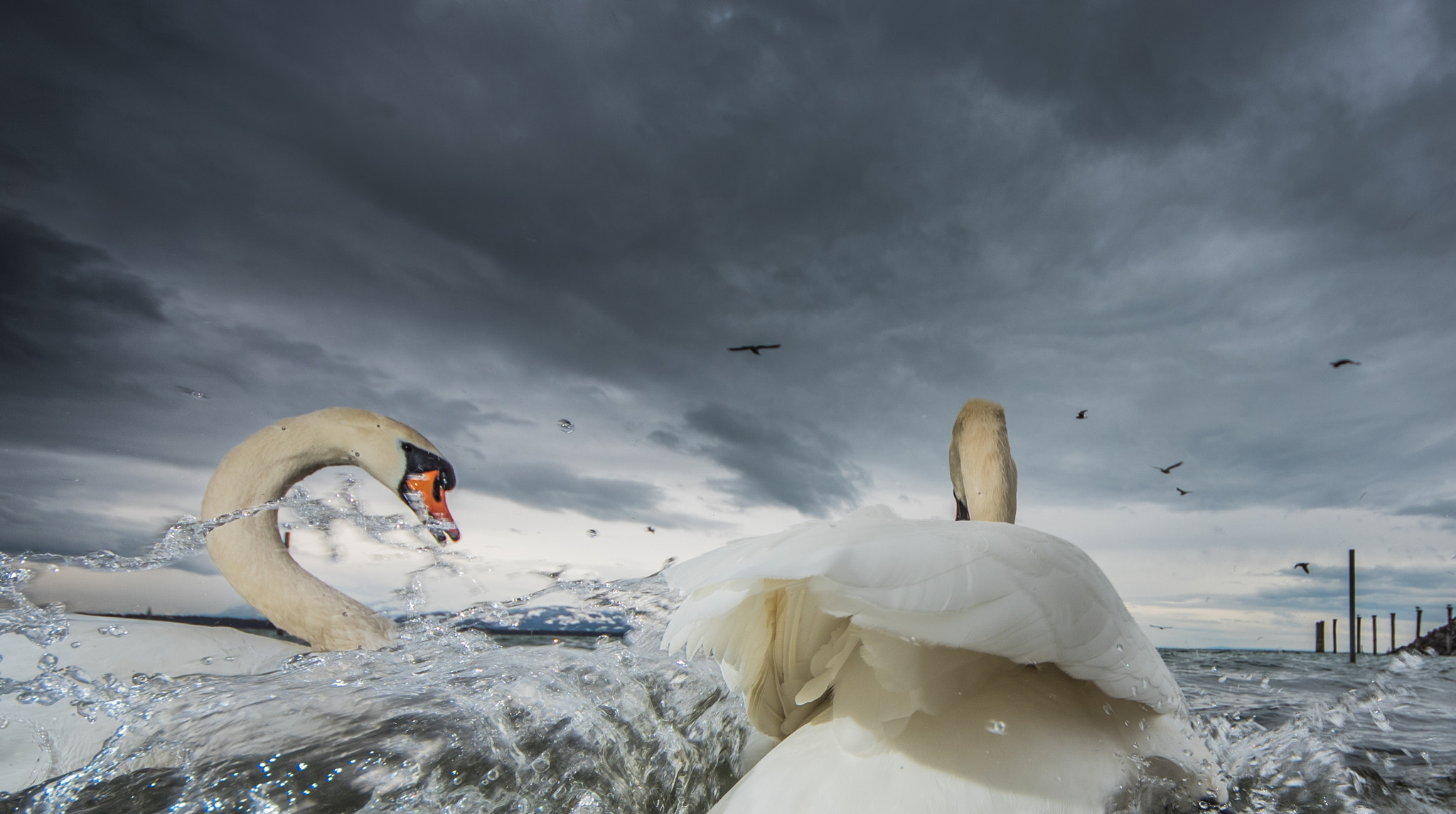 Sigma 8-16mm F4.5-5.6 DC HSM sample photo. Splash photography