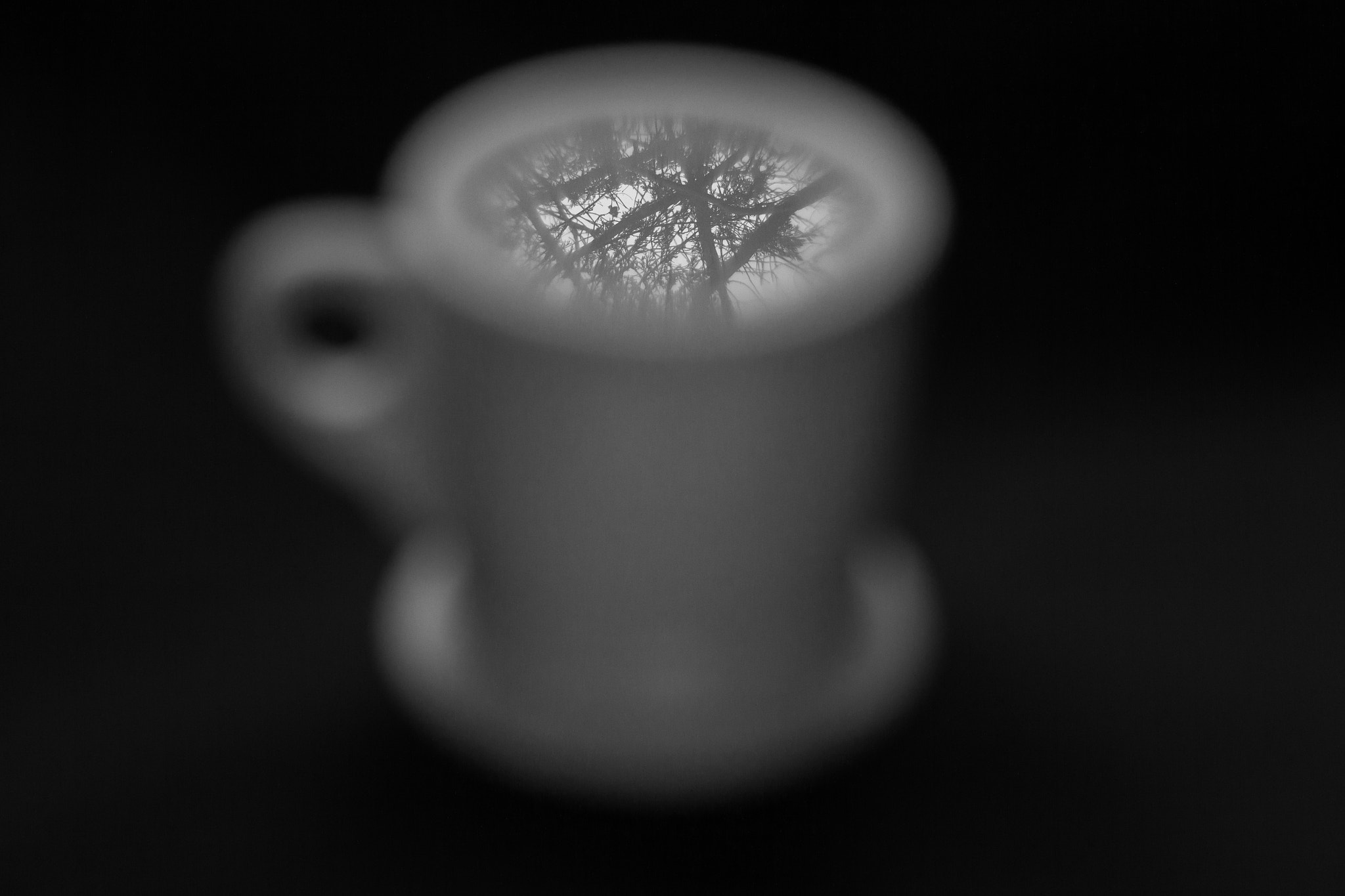 Canon EOS 7D + Canon EF 100mm F2.8 Macro USM sample photo. I drink to remember photography