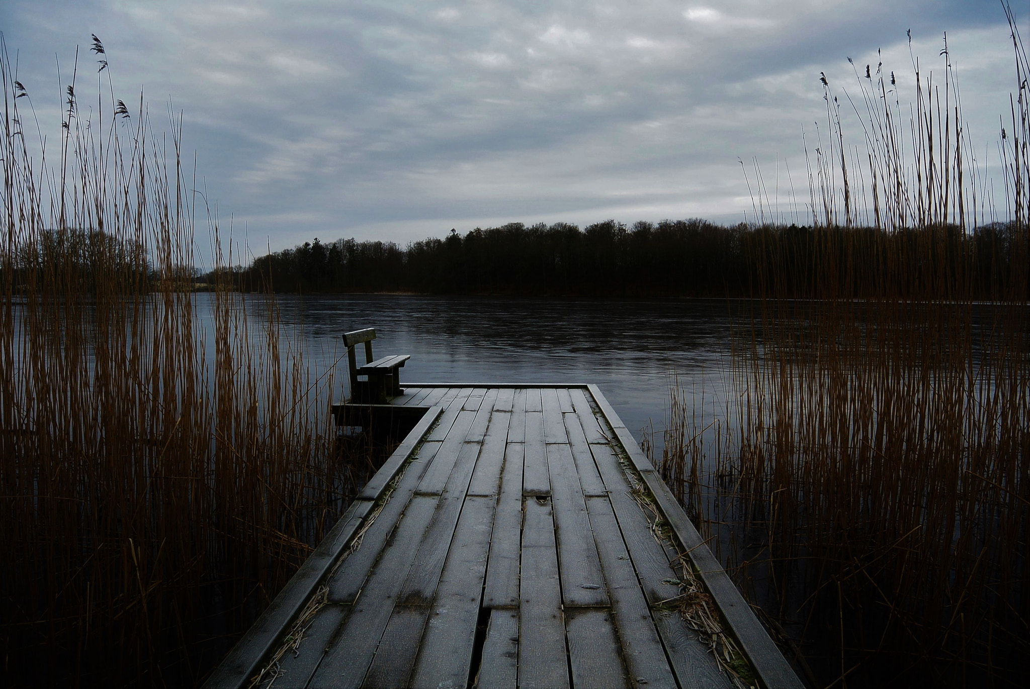 Nikon 1 S1 sample photo. Listen to the silence... photography