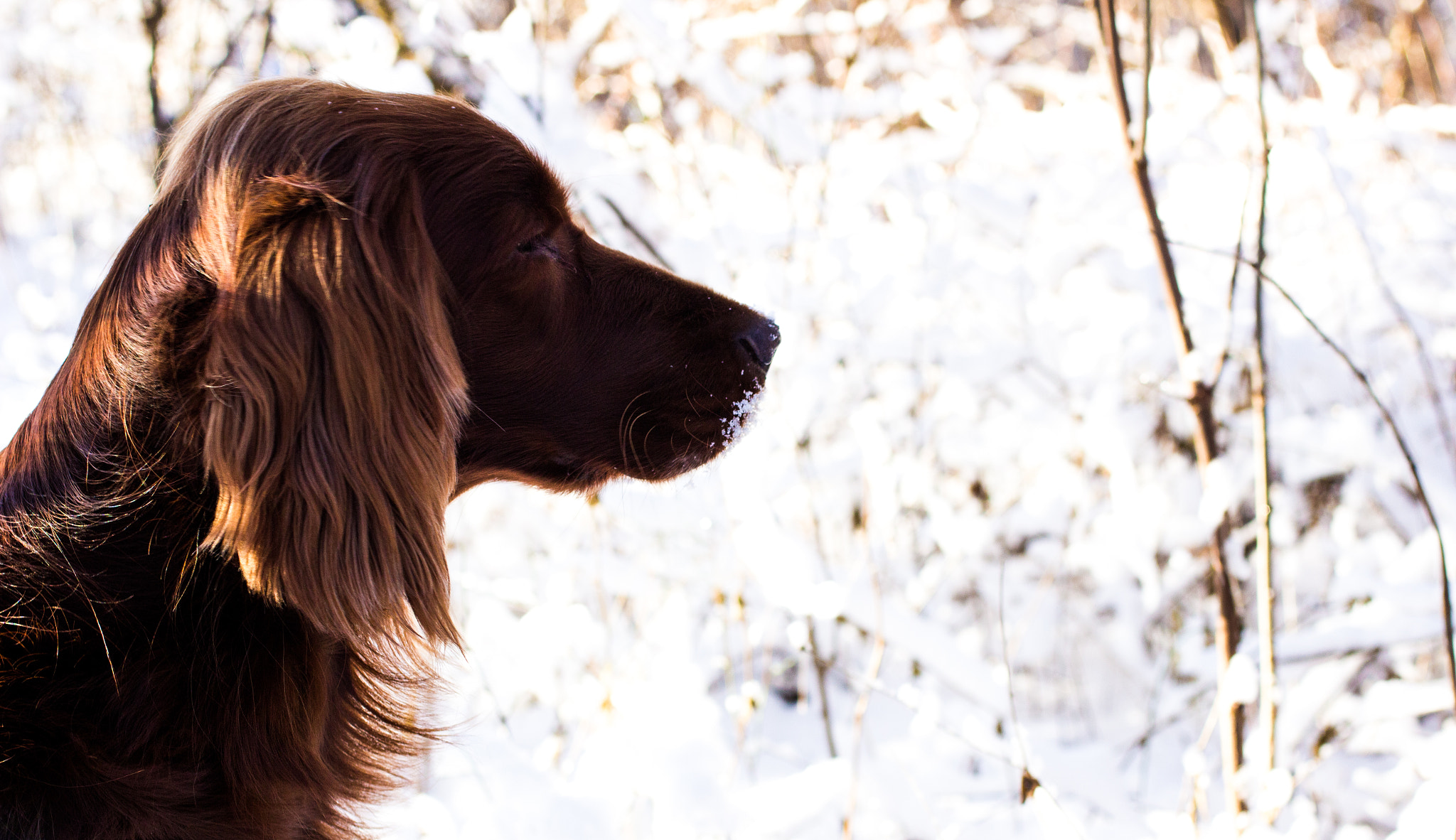 Canon EOS 600D (Rebel EOS T3i / EOS Kiss X5) + Canon EF 50mm F2.5 Macro sample photo. .. photography