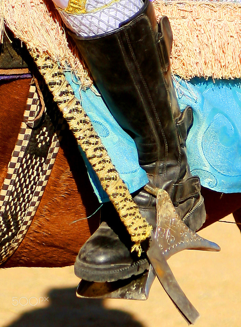 Canon EOS 5D + Sigma 24-70mm F2.8 EX DG Macro sample photo. étriers photography