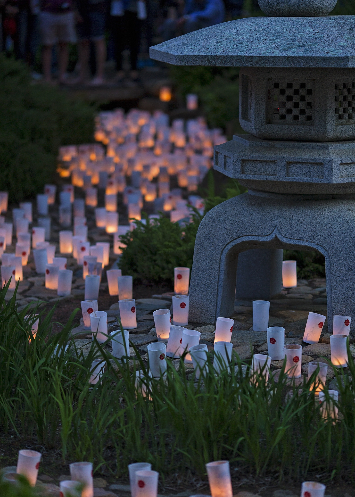 Canon EOS-1D C + Canon EF 135mm F2L USM sample photo. Candles at the nara festival photography