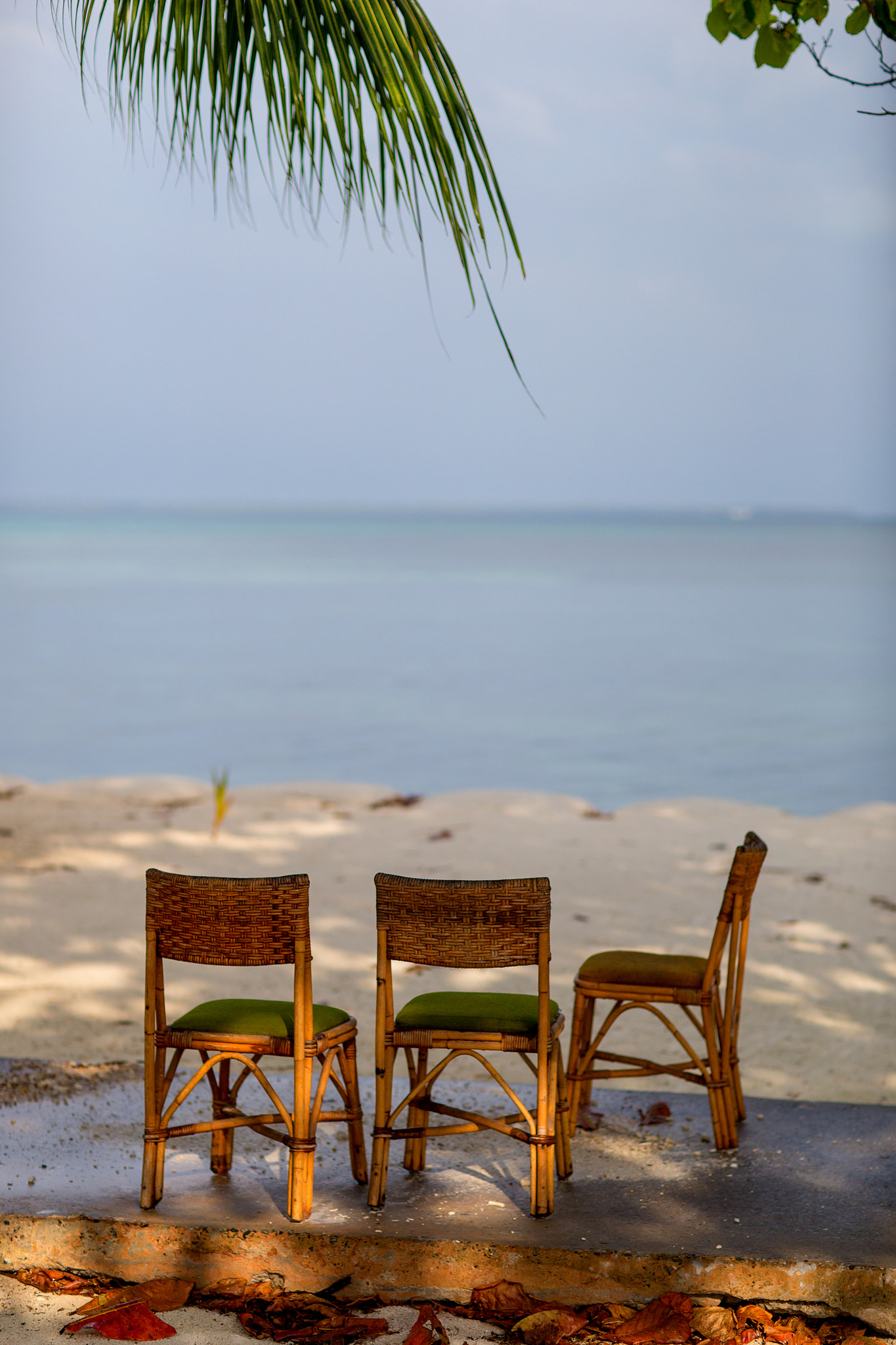 Canon EOS-1D C sample photo. A simple life photography