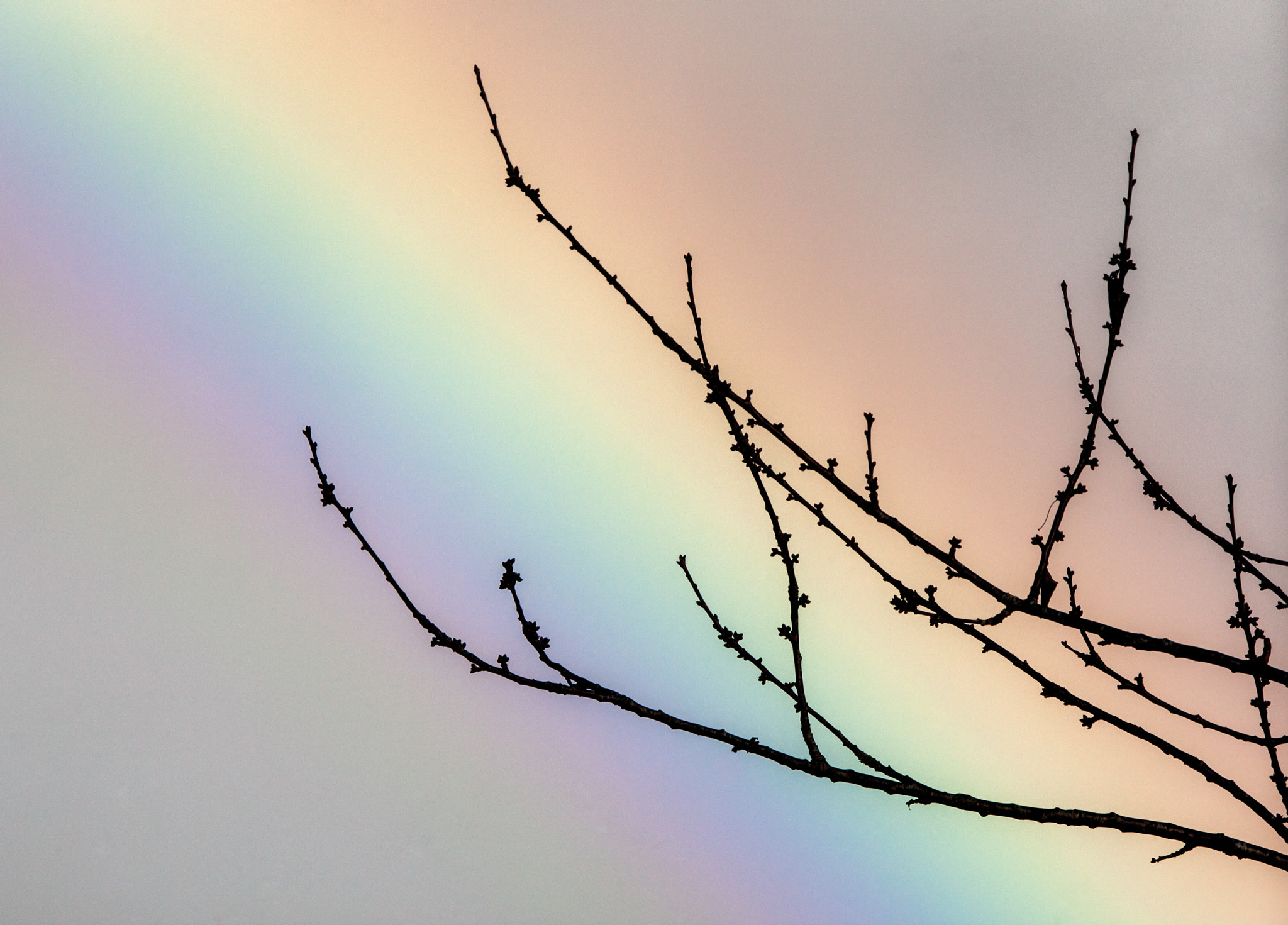 Canon EOS-1D Mark III sample photo. Rainbow photography