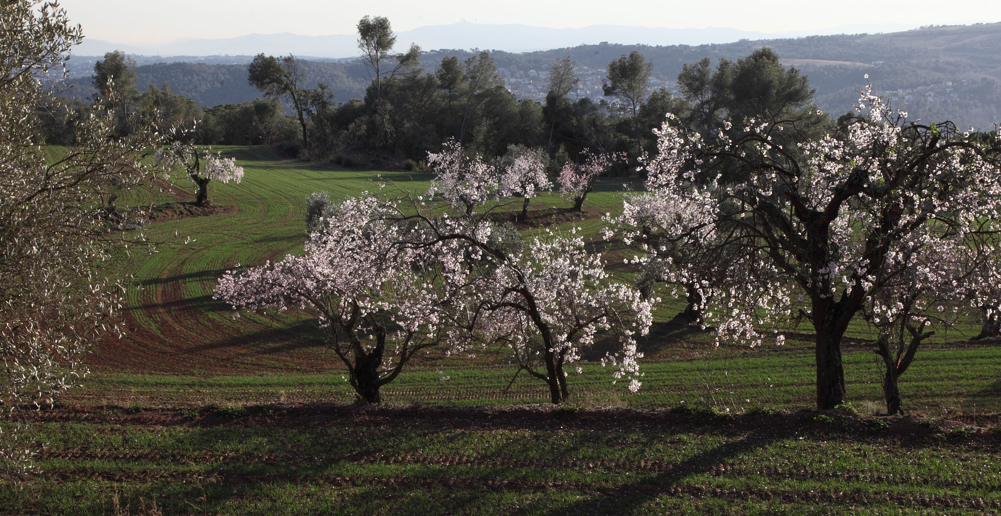 Canon EF 24-105mm F4L IS USM sample photo. Jpg photography