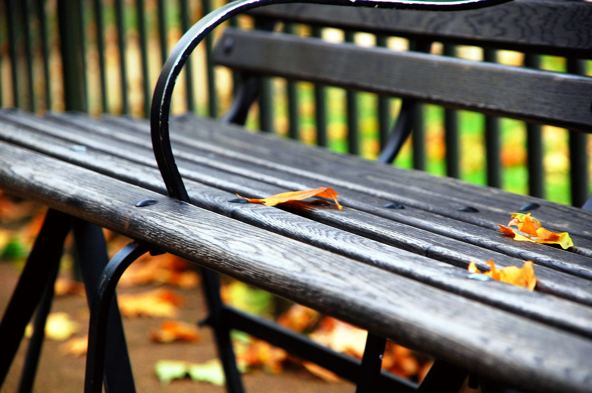 Nikon D40 + Sigma 18-200mm F3.5-6.3 DC sample photo. Empty space by glenn rayat photography