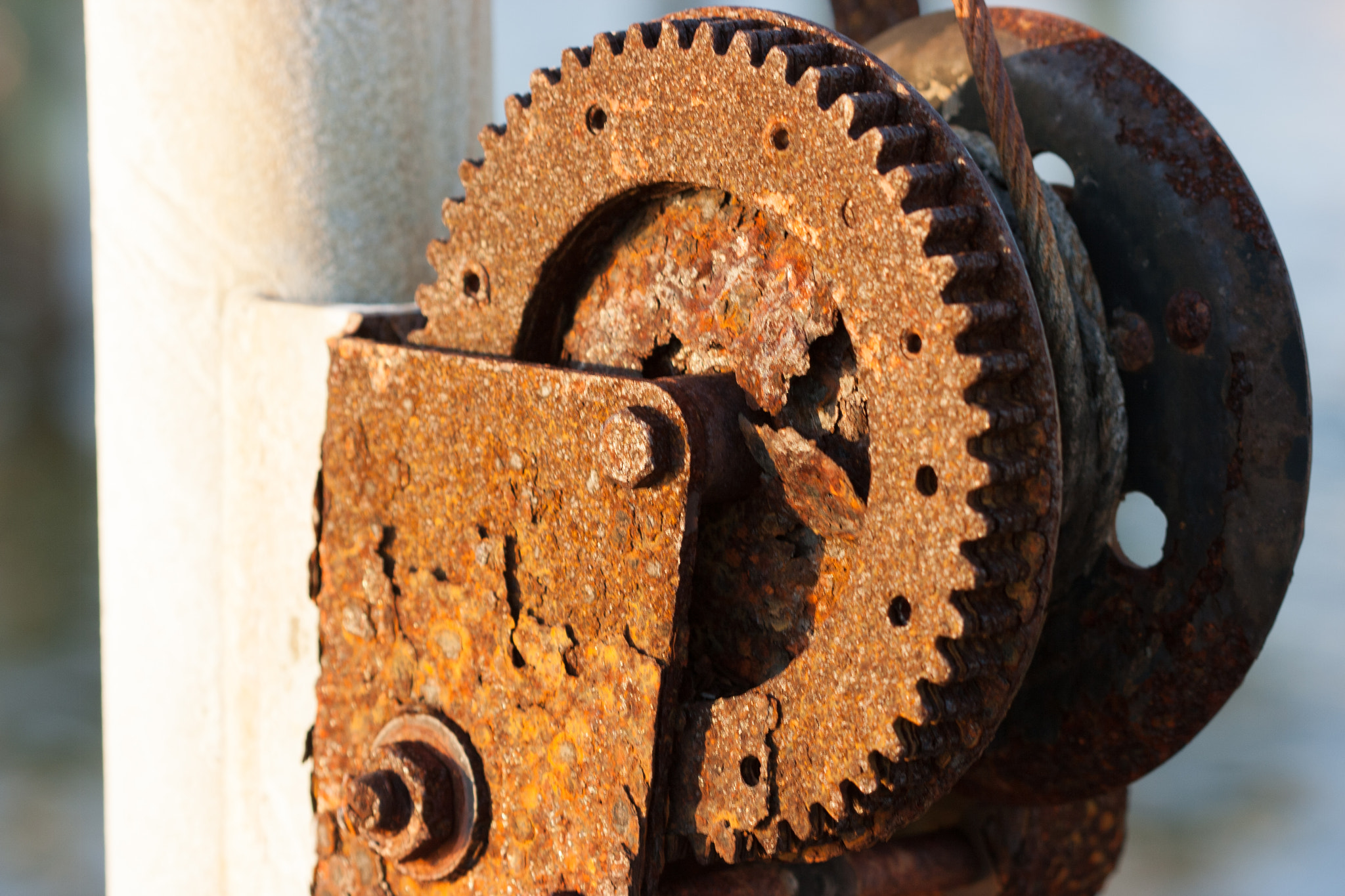 Canon EF 100mm F2.8 Macro USM sample photo. Gears of industry photography