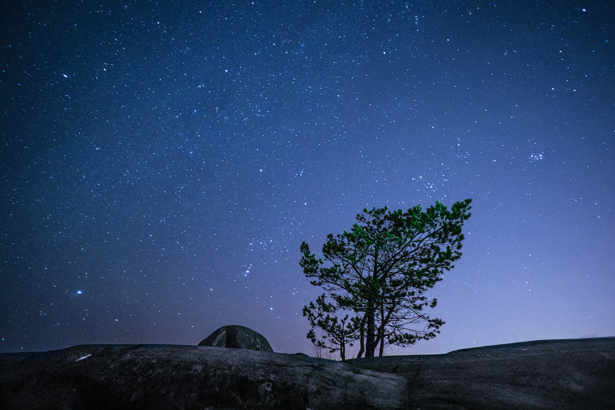 Sony a7 + Sony E 16mm F2.8 sample photo. Tree and stars photography