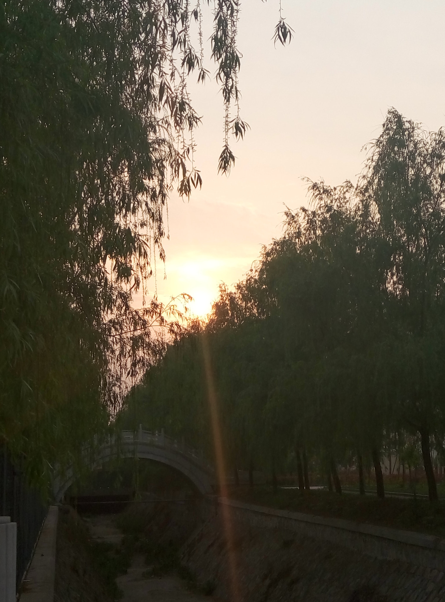 Meizu m1 sample photo. Sunset photography
