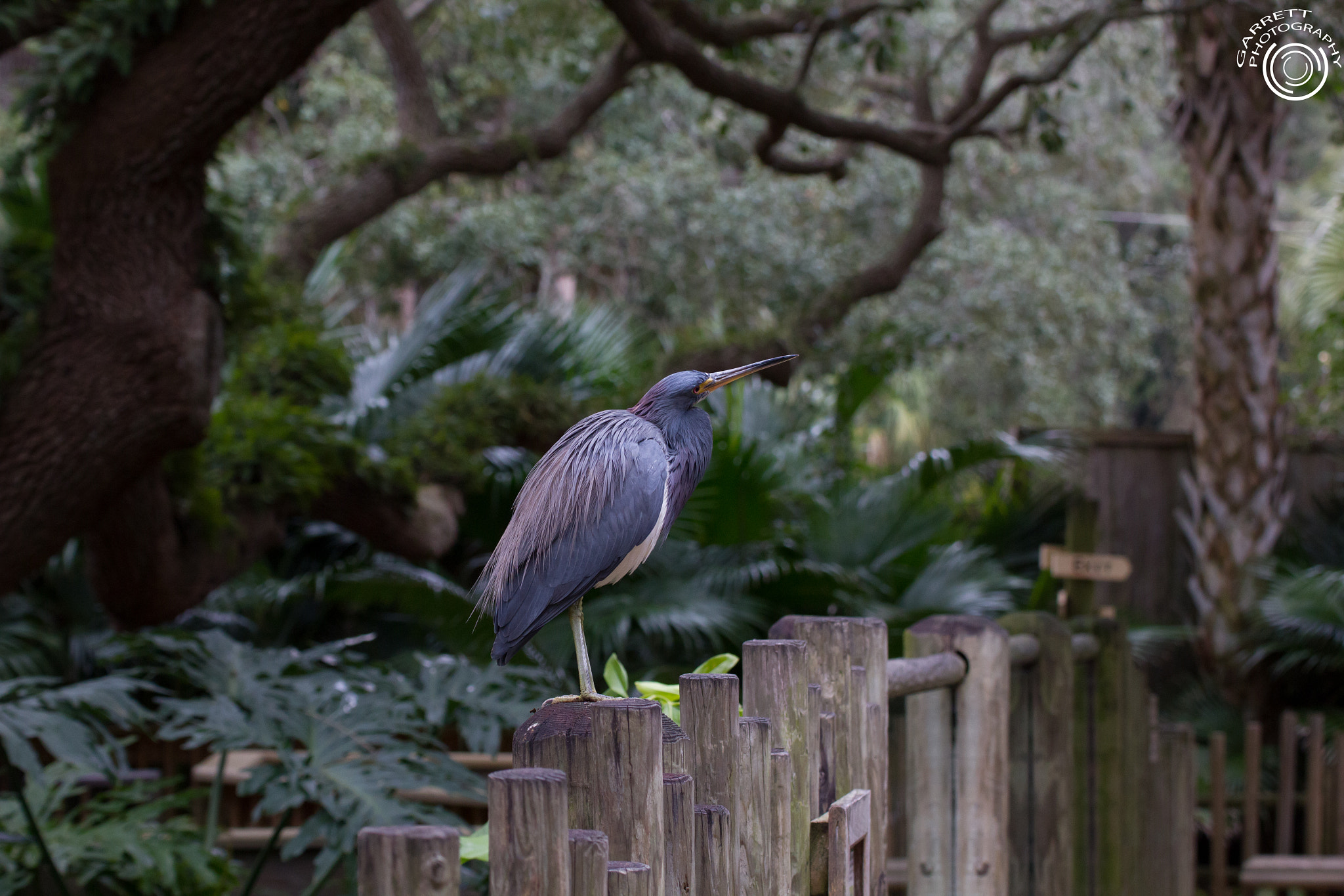 Tamron SP 35mm F1.8 Di VC USD sample photo. Curious photography
