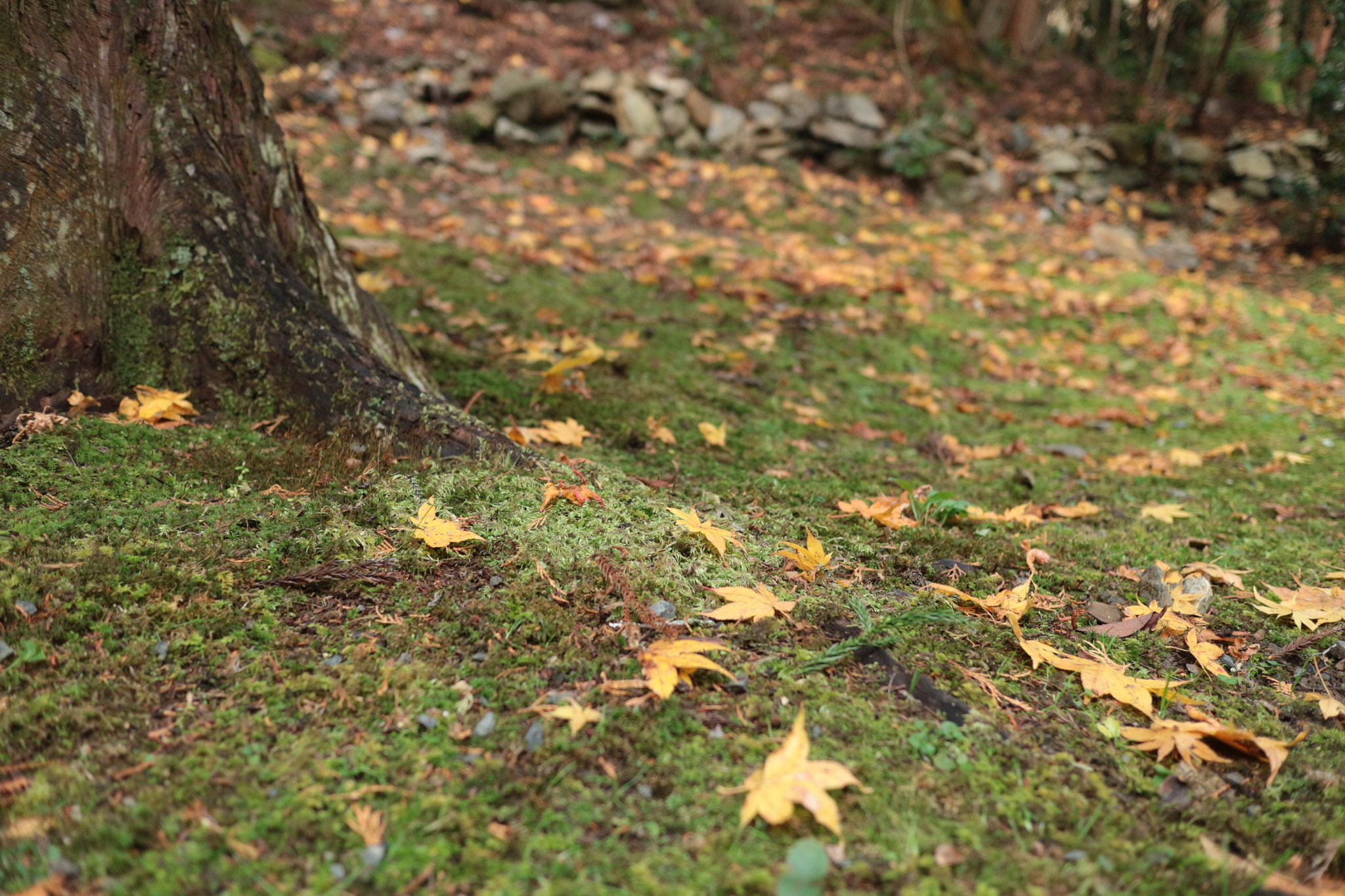 Canon EOS M10 + Canon EF-M 22mm F2 STM sample photo. When they left... photography
