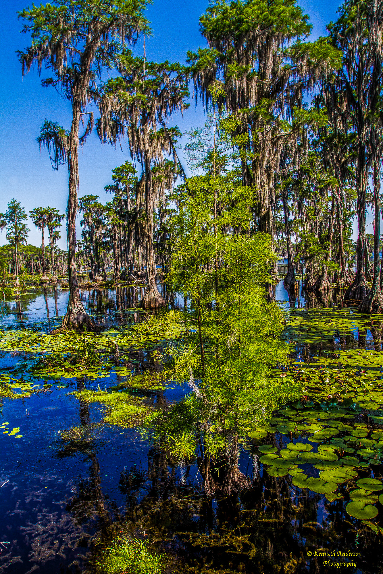 Canon EF 16-35mm F2.8L USM sample photo. Banks lake photography