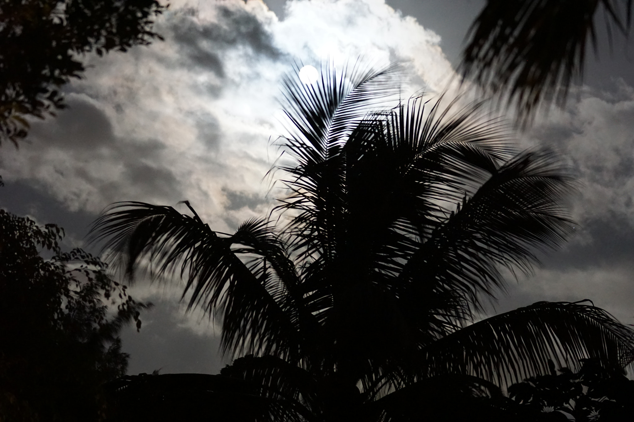 Sony 70-200mm F2.8 G SSM II sample photo. Night sky photography