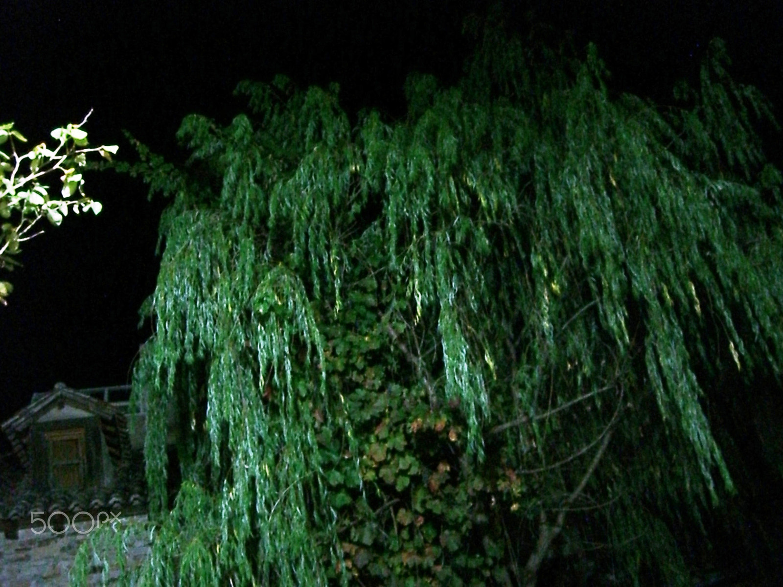 CASIO EX-S600 sample photo. Sauce photography