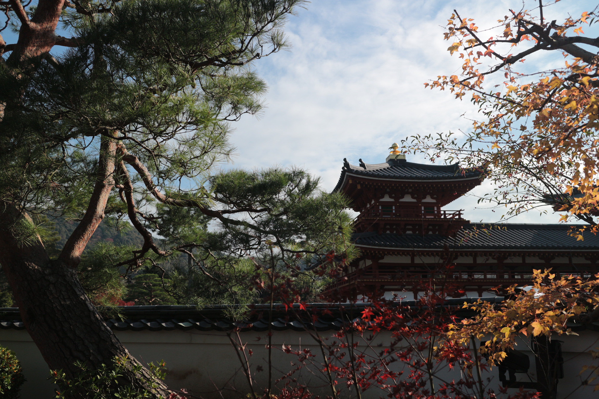 Canon EOS M10 + Canon EF-M 22mm F2 STM sample photo