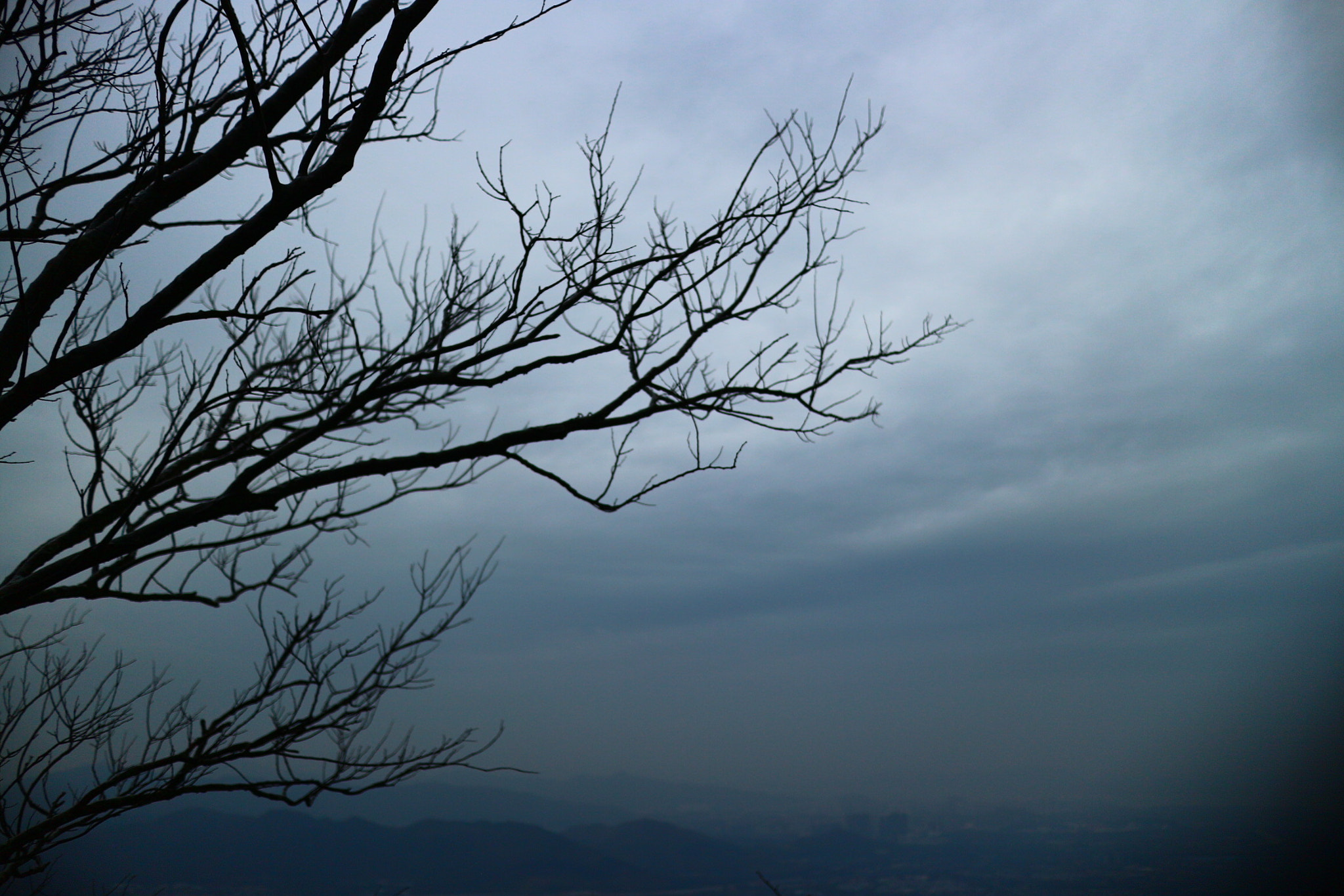 Canon EOS M10 + Canon EF-M 22mm F2 STM sample photo