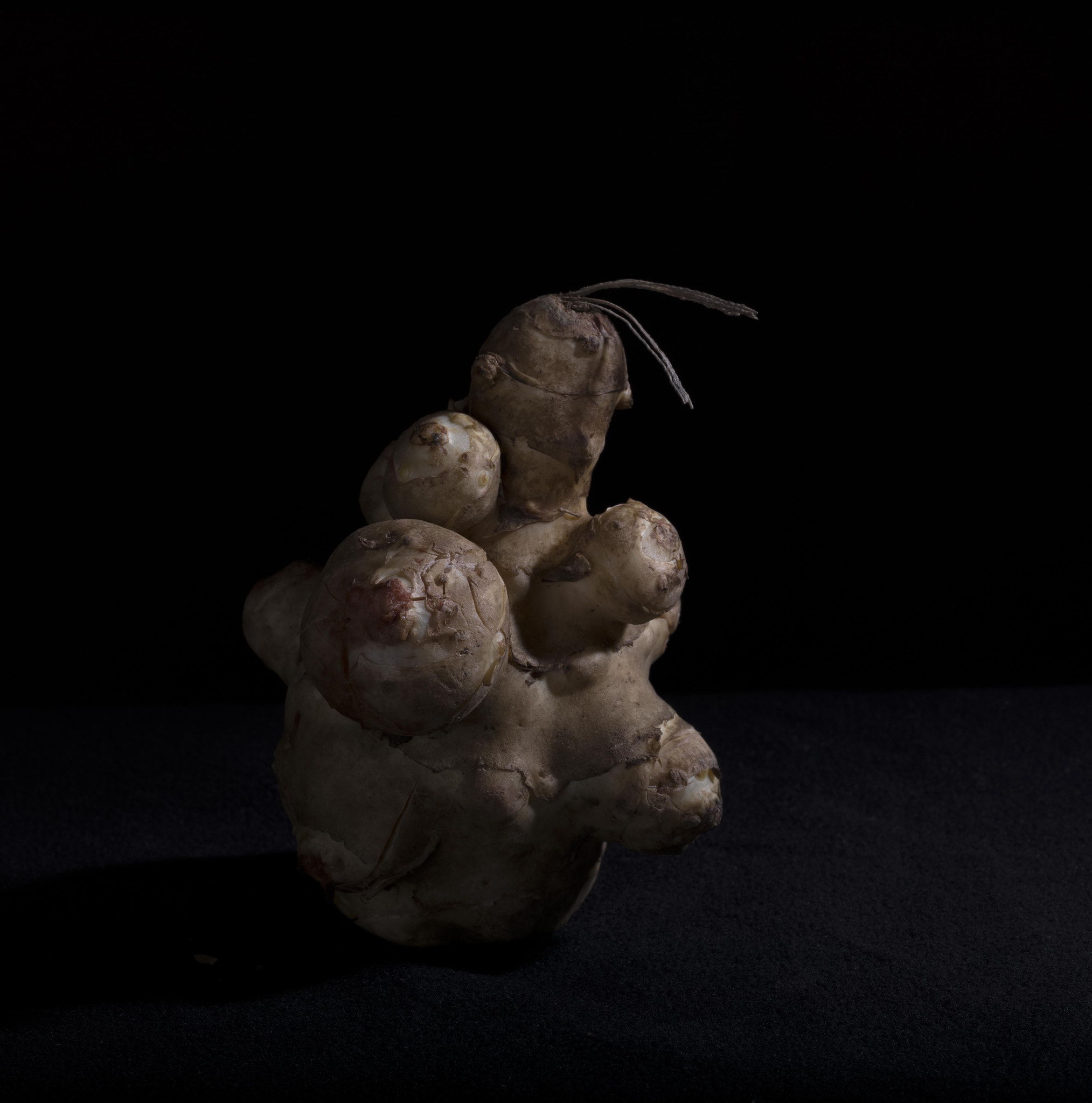 Apo-Macro-Summarit-S 120 sample photo. Cubist image (of ) photography
