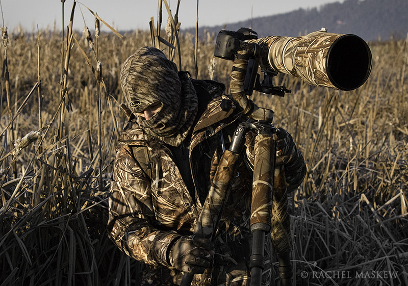 Canon EF 100-400mm F4.5-5.6L IS II USM sample photo. Matthew schwartz fine art nature photographer photography