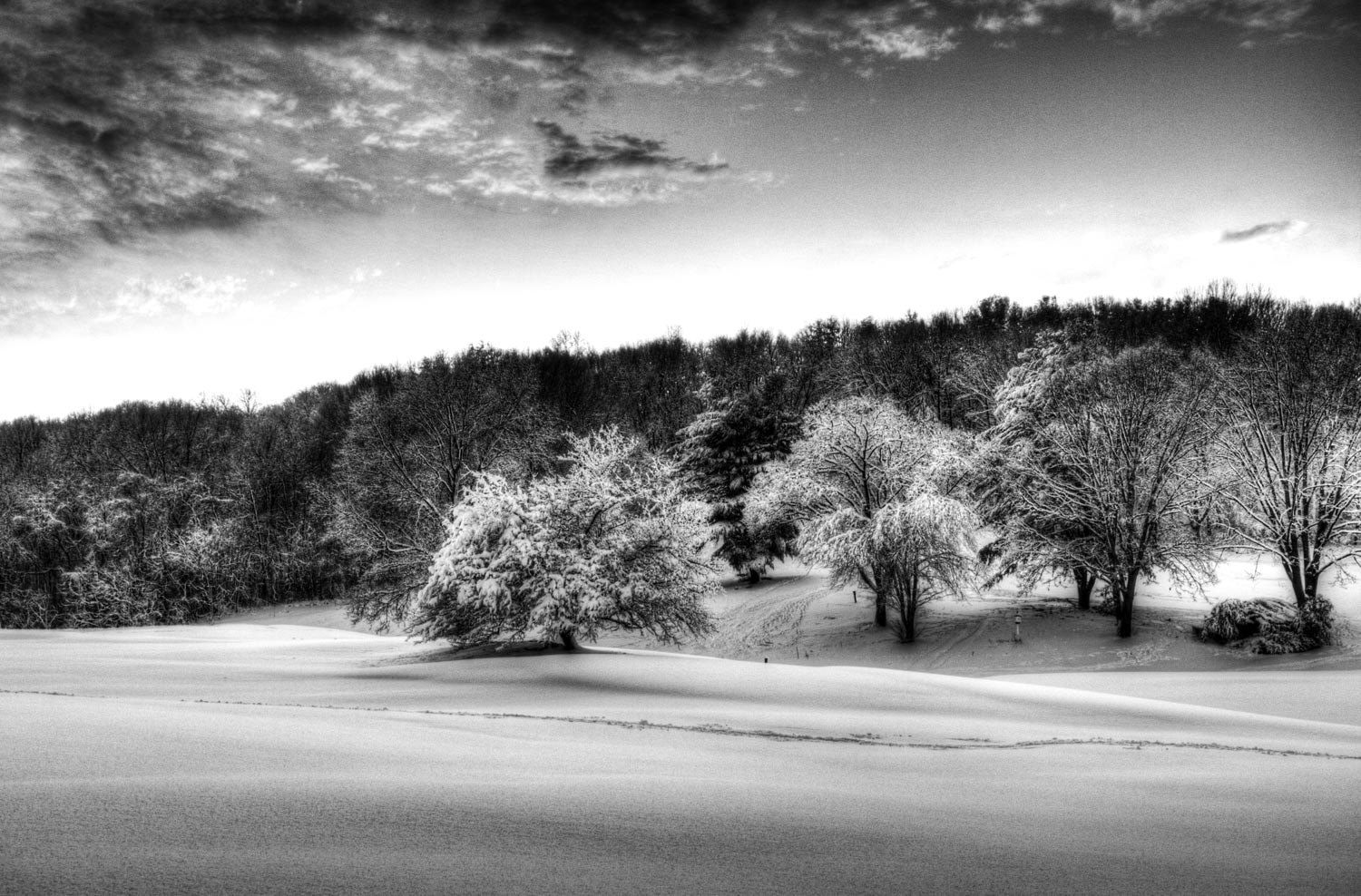 Tokina AT-X Pro 12-24mm F4 (IF) DX sample photo. Local municipal golf course. photography