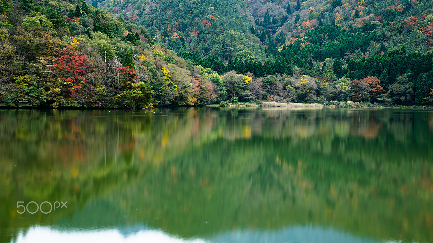 Nikon Df sample photo. Ohnoike s photography
