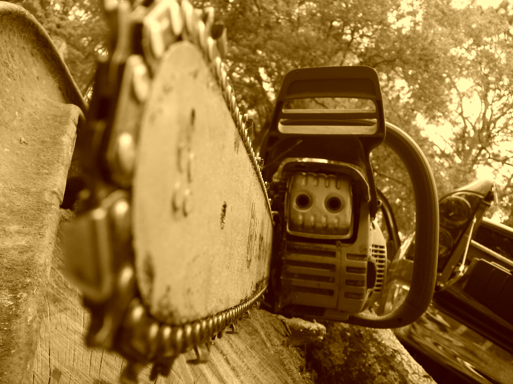 Samsung Galaxy Mega 6.3 sample photo. Chainsaw 2 photography