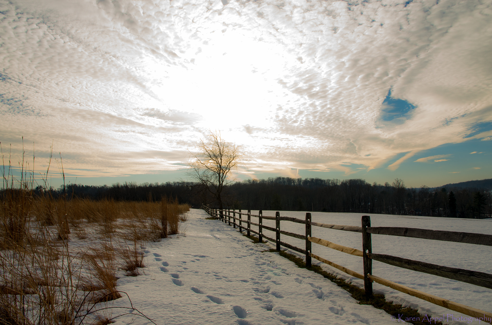 Pentax K-5 IIs sample photo. After the snow photography